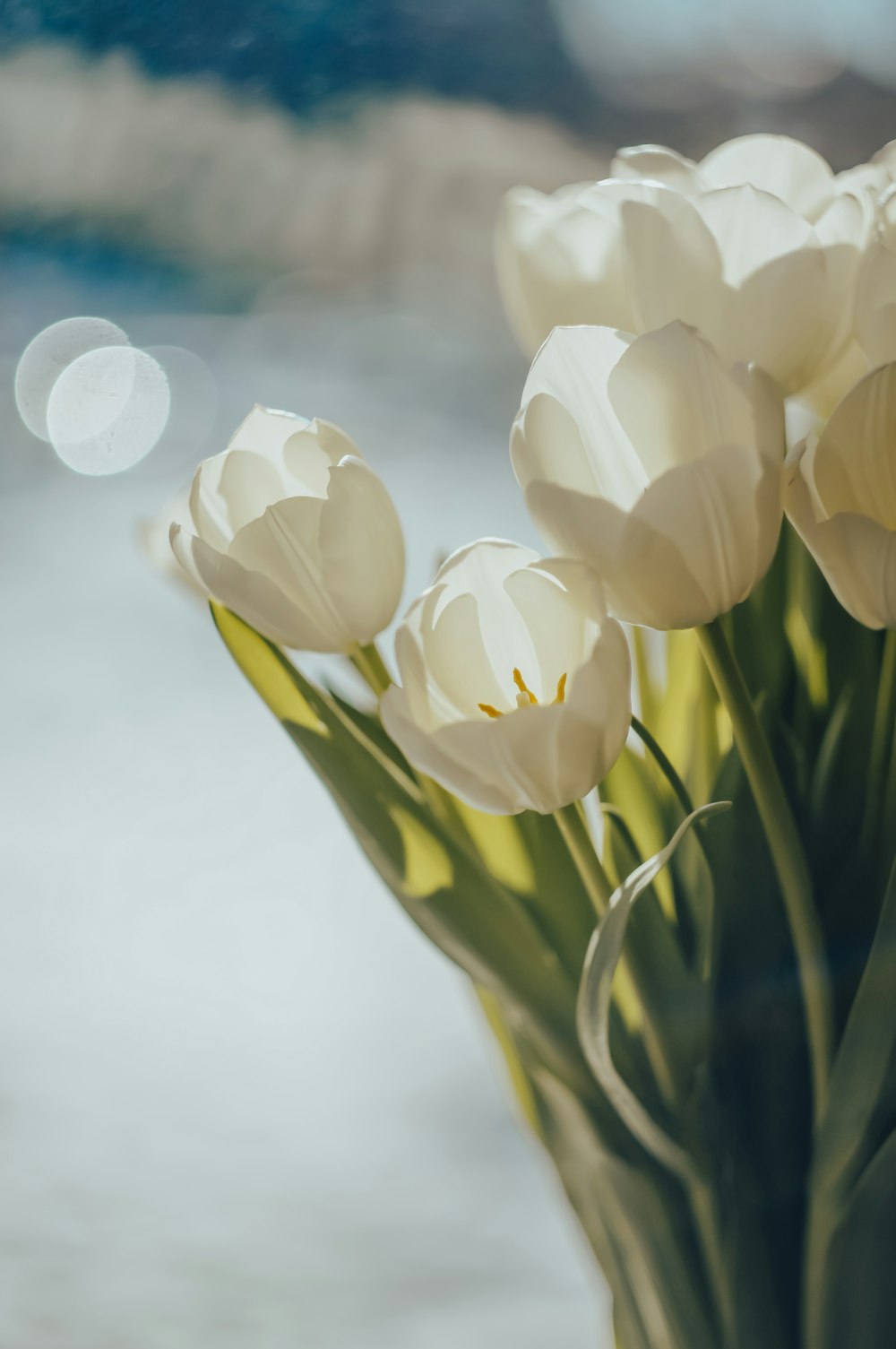 a vase filled with white flowers sitting on top of a table