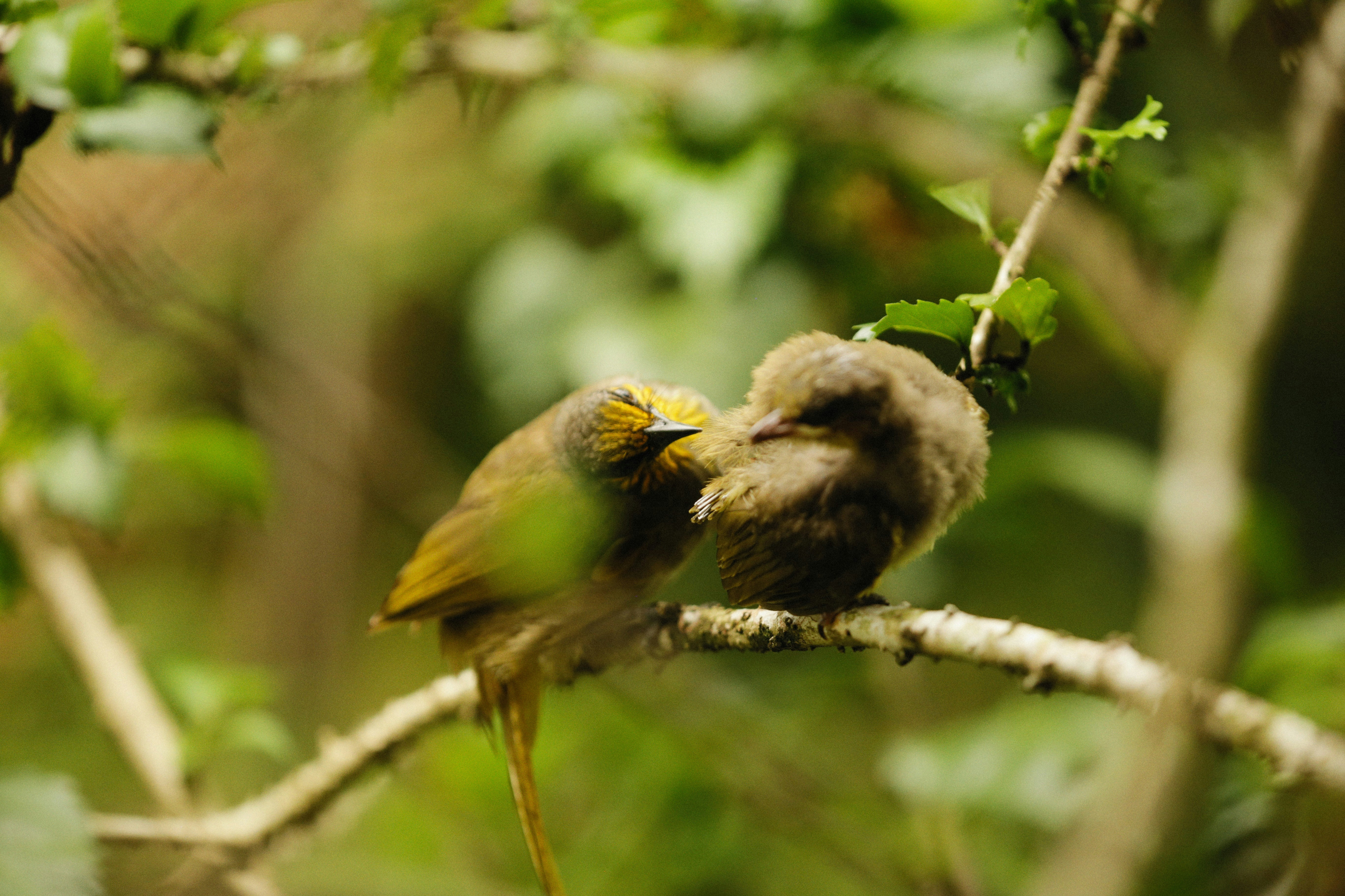 Photo by alexeydemidov