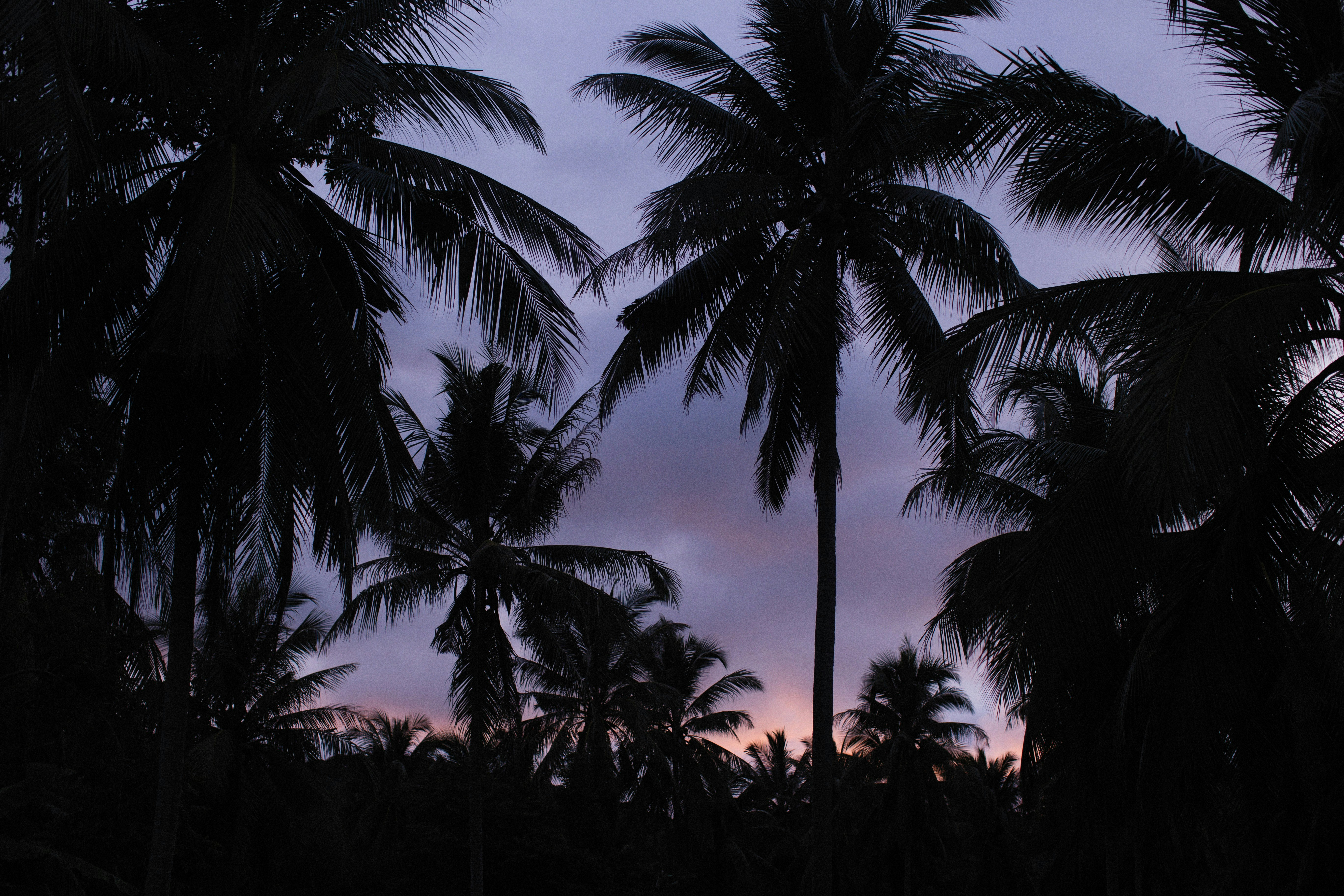 Photo by alexeydemidov