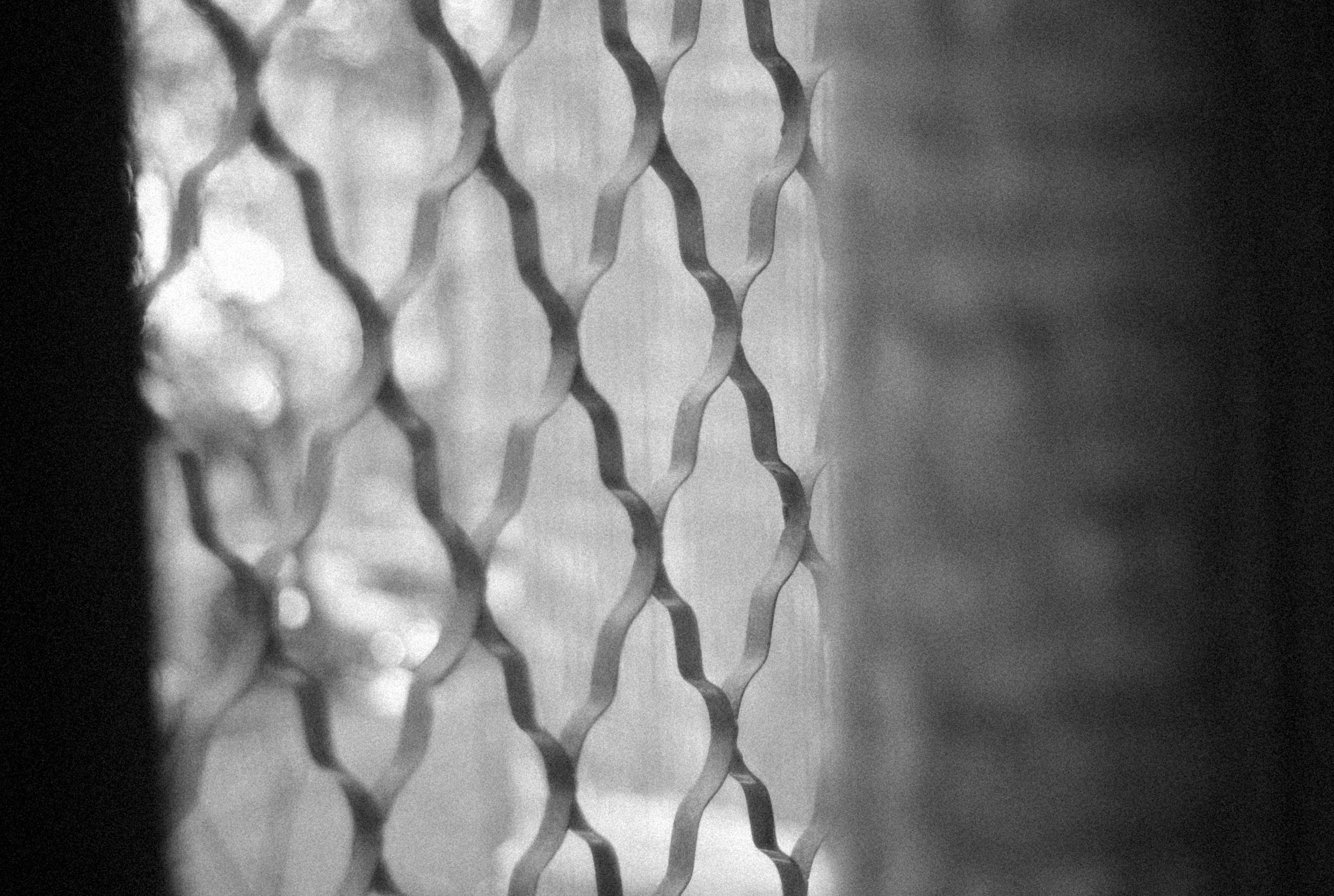 Photo by alexeydemidov