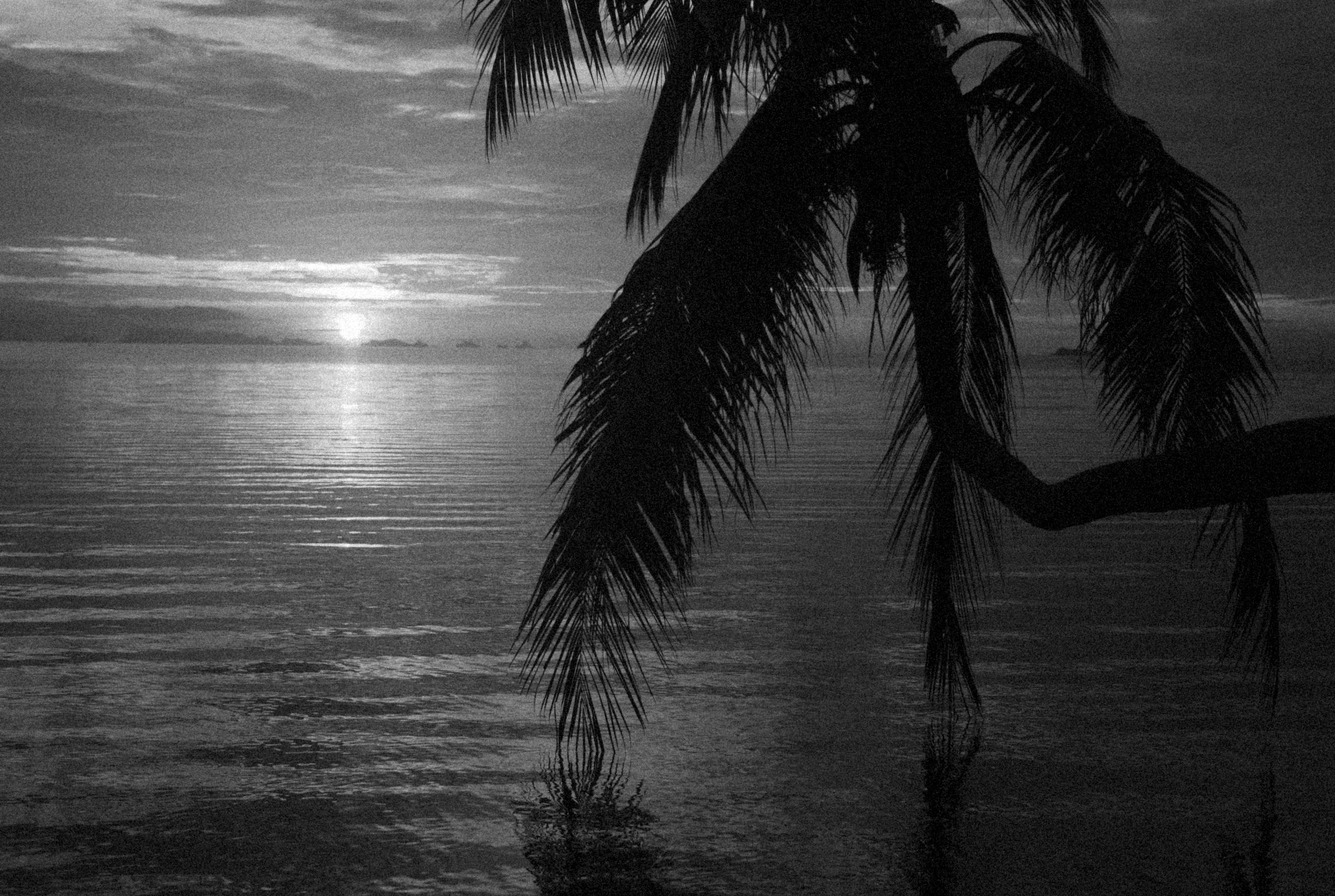 Photo by alexeydemidov