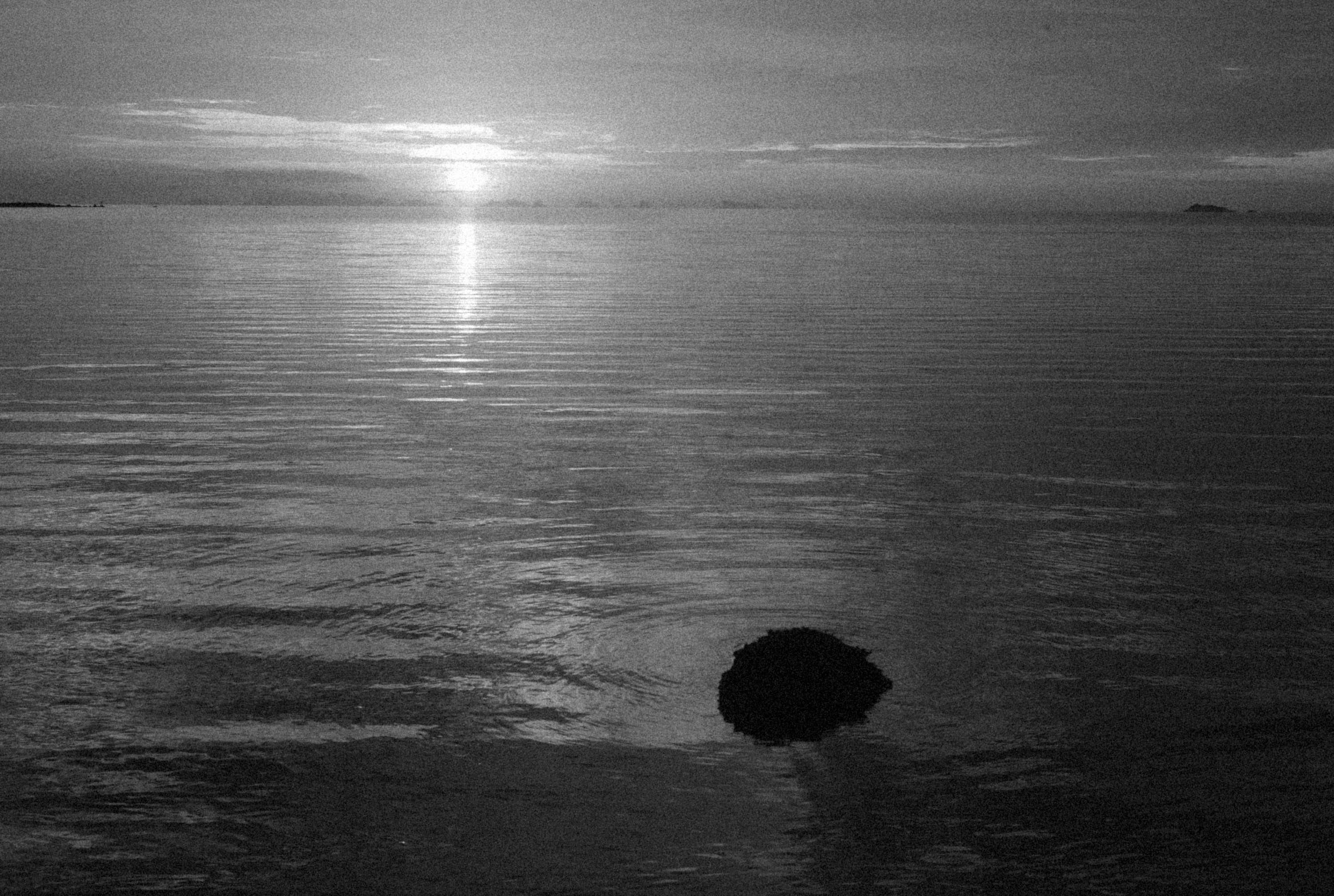 Photo by alexeydemidov