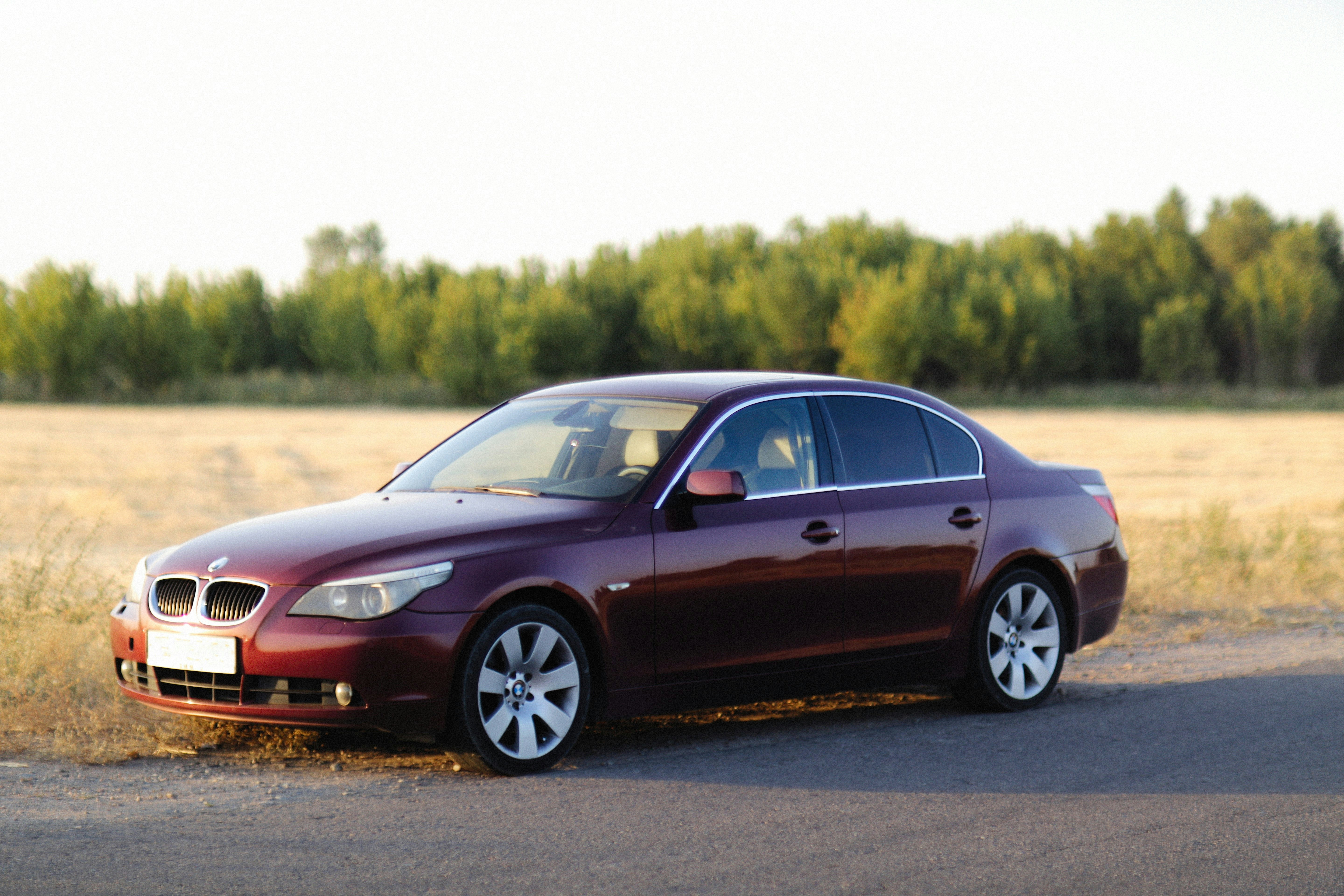 Photo by alexeydemidov