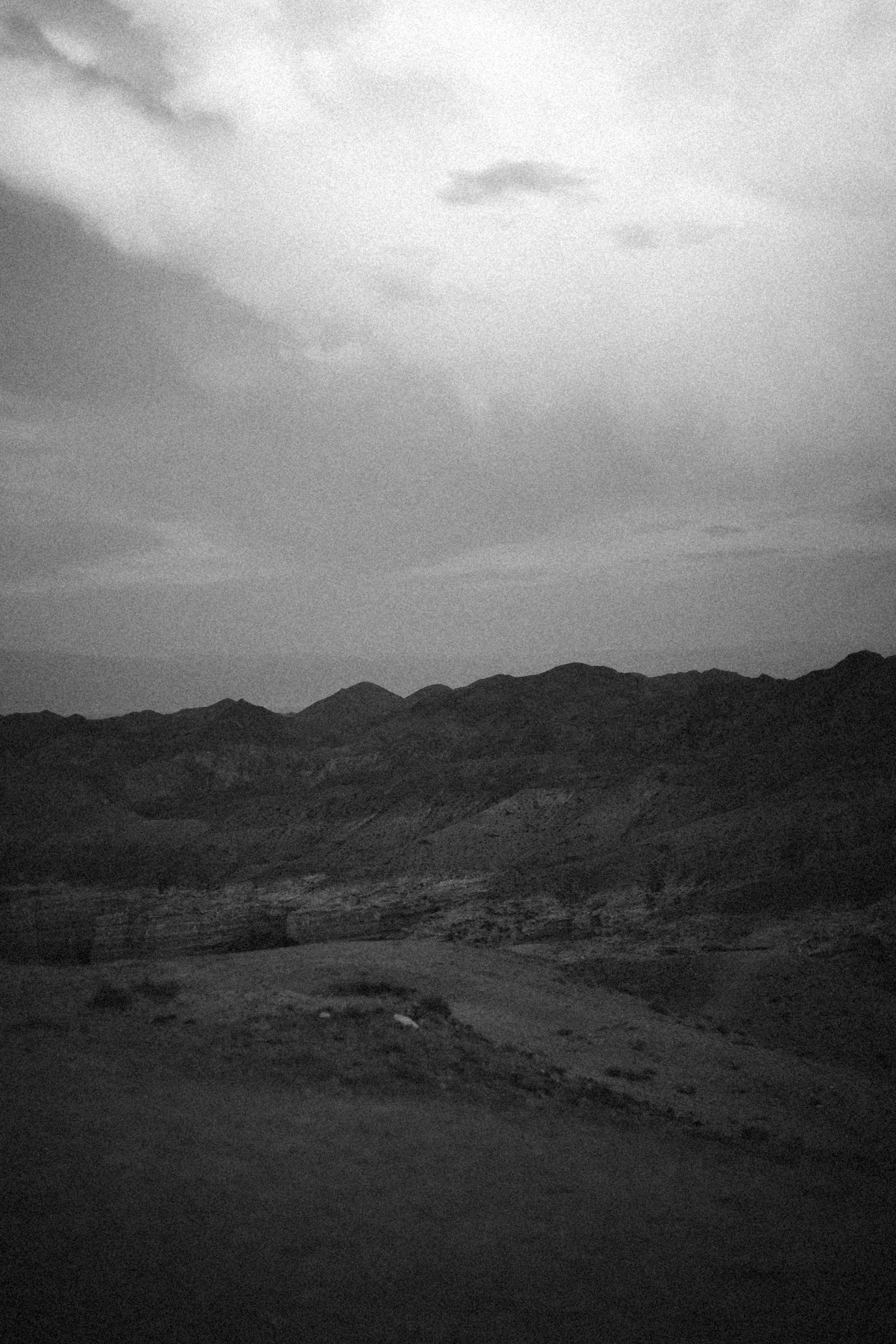 Photo by alexeydemidov