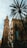 a tall clock tower towering over a city