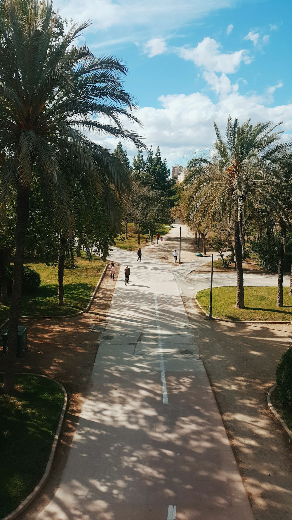 a couple of people walking down a street next to palm trees