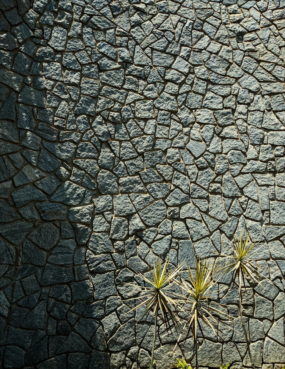 a stone wall with two small plants growing out of it