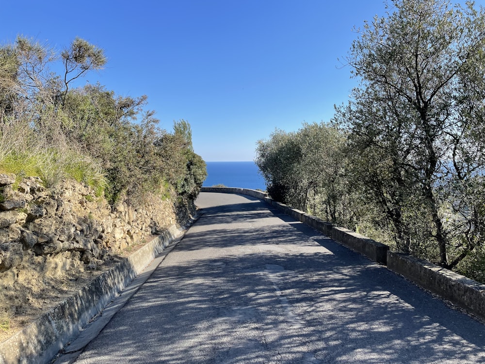 a paved road with trees on both sides of it