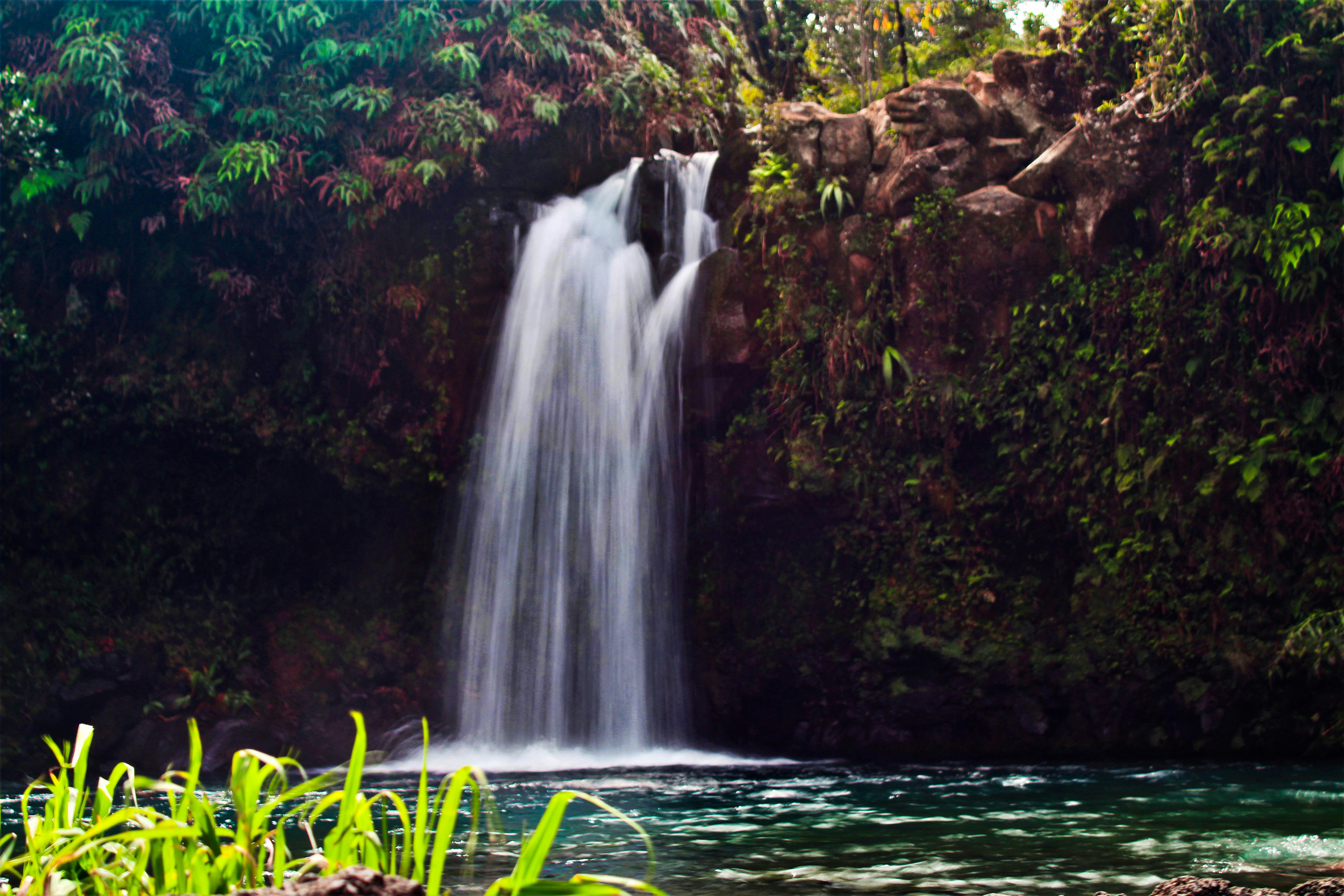 Photo by curriedflute