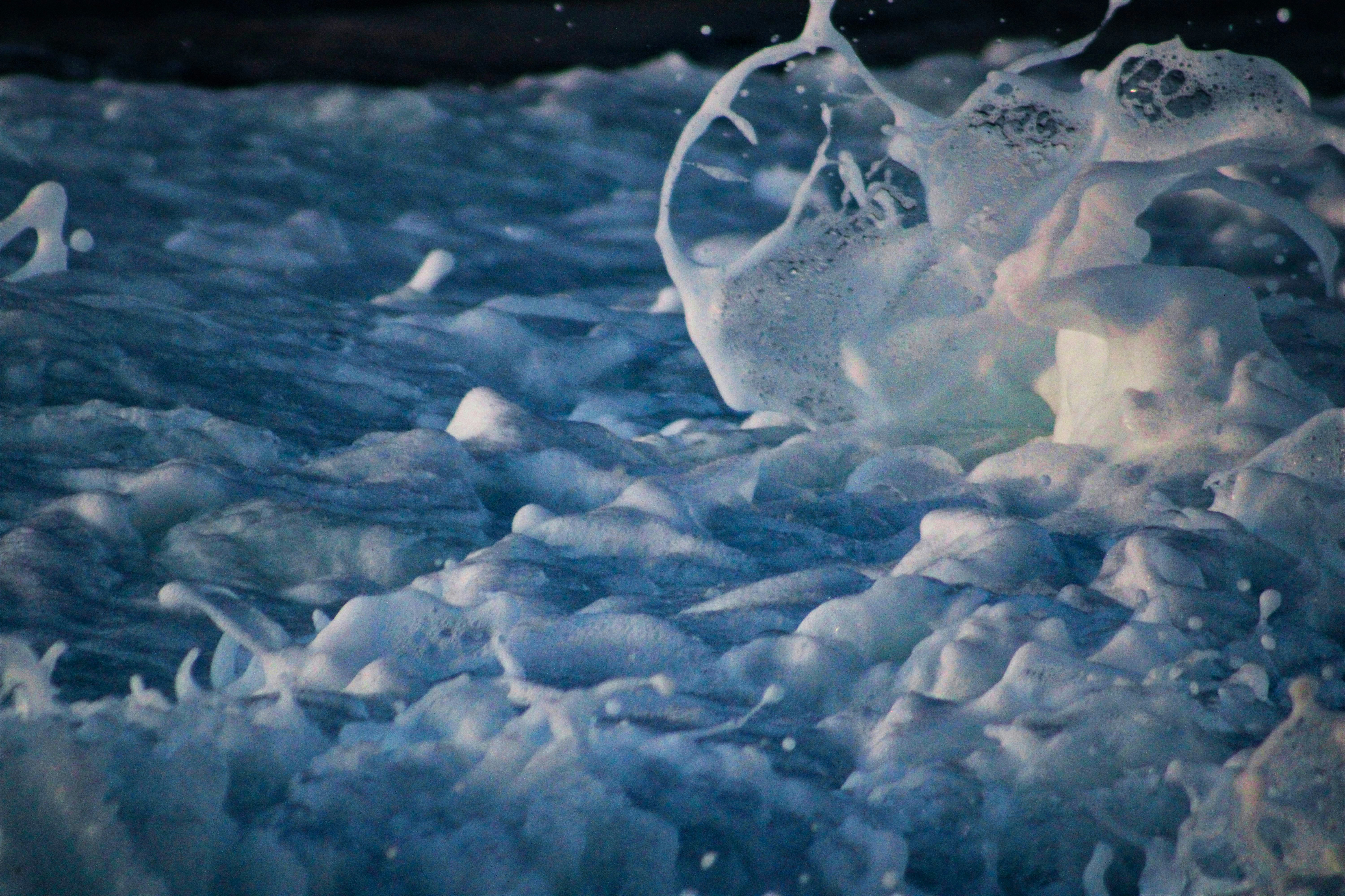 Photo by curriedflute