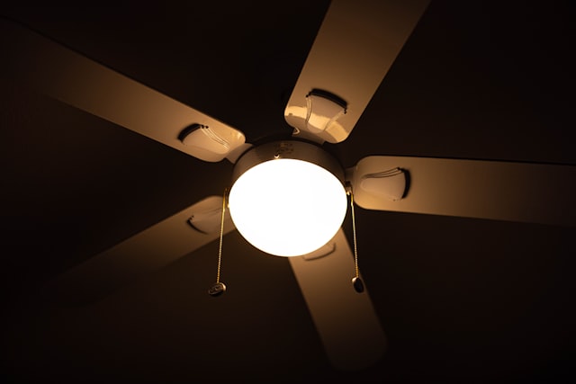 Rustic ceiling fan