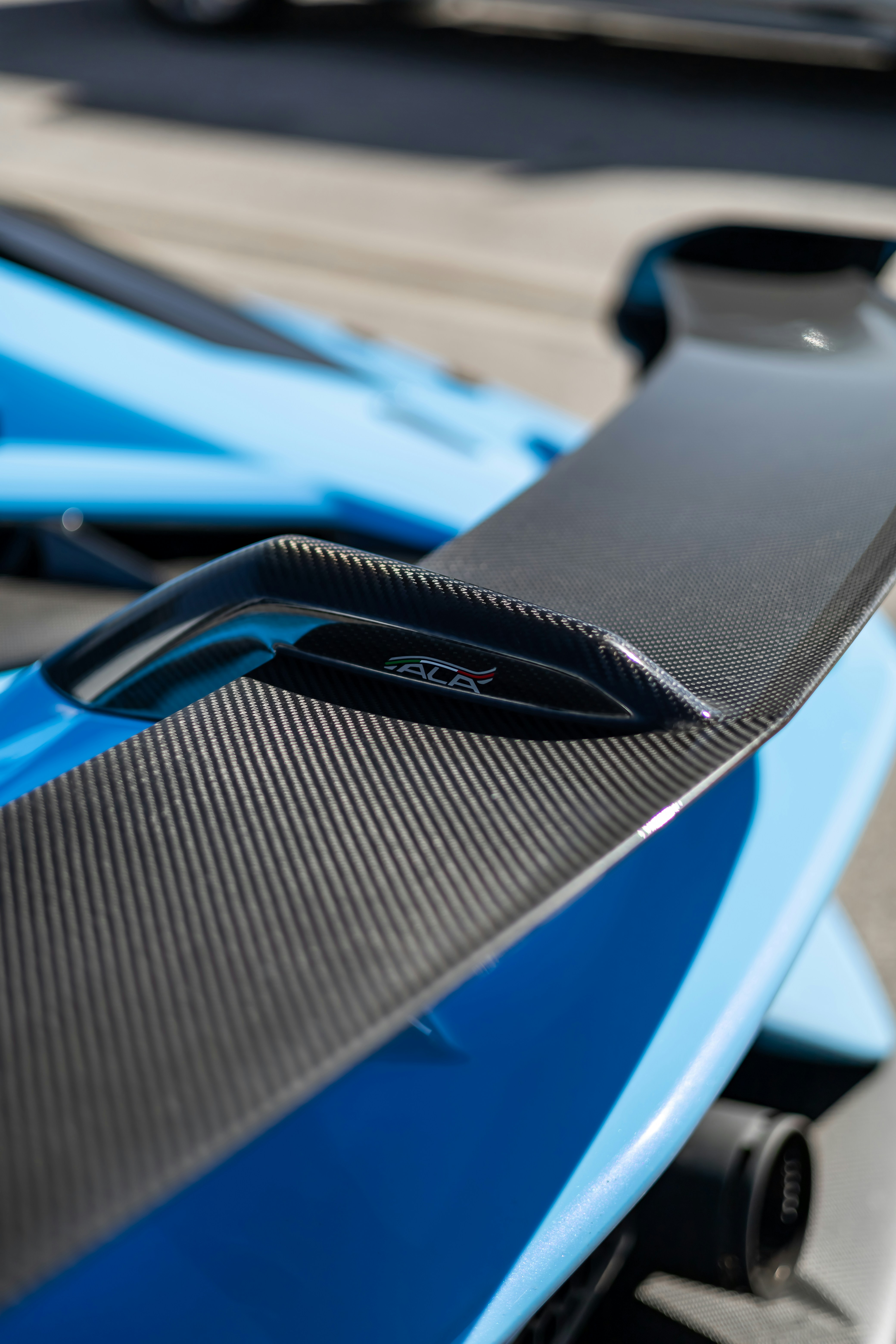 Photo by lonestarexotic