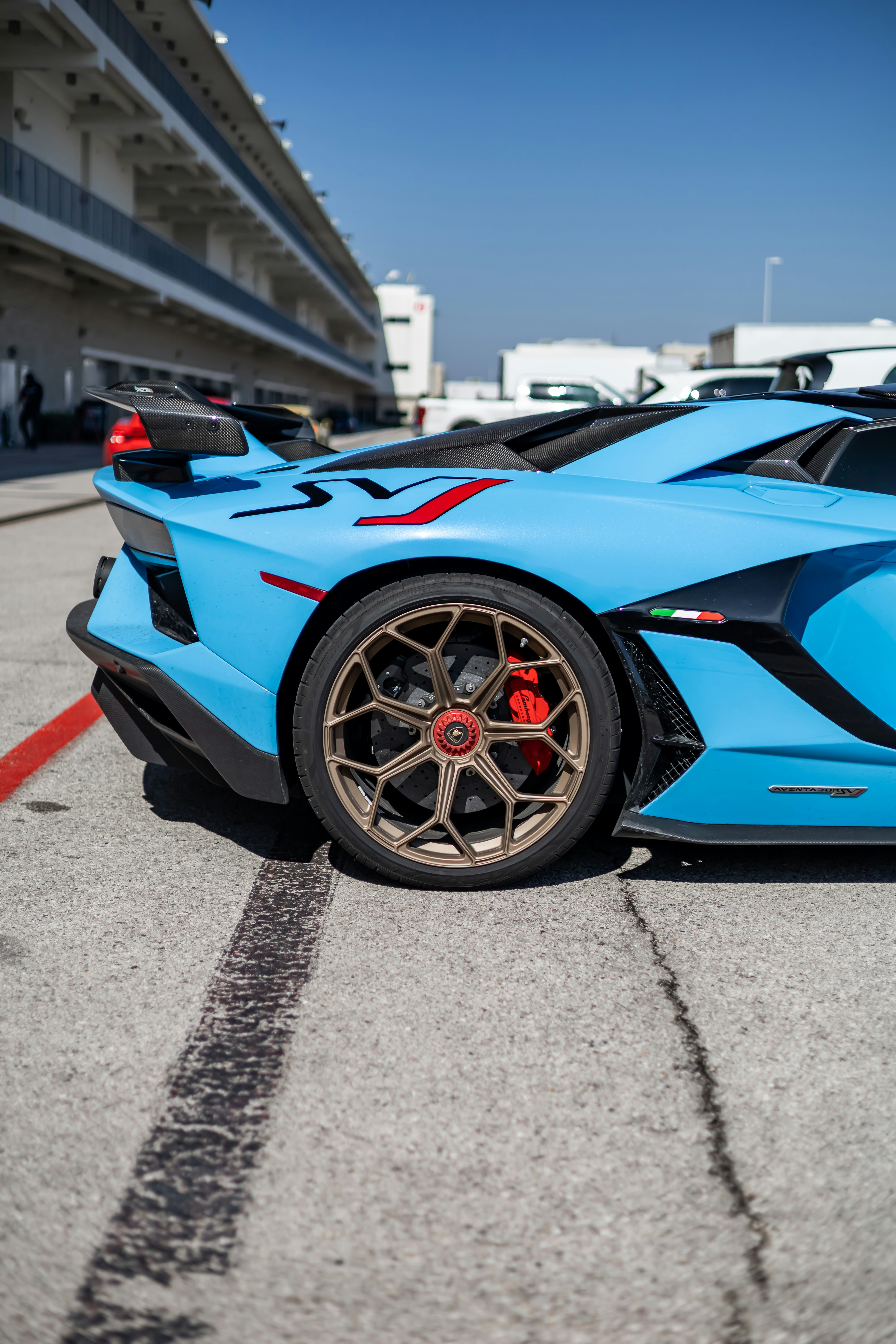 Photo by lonestarexotic