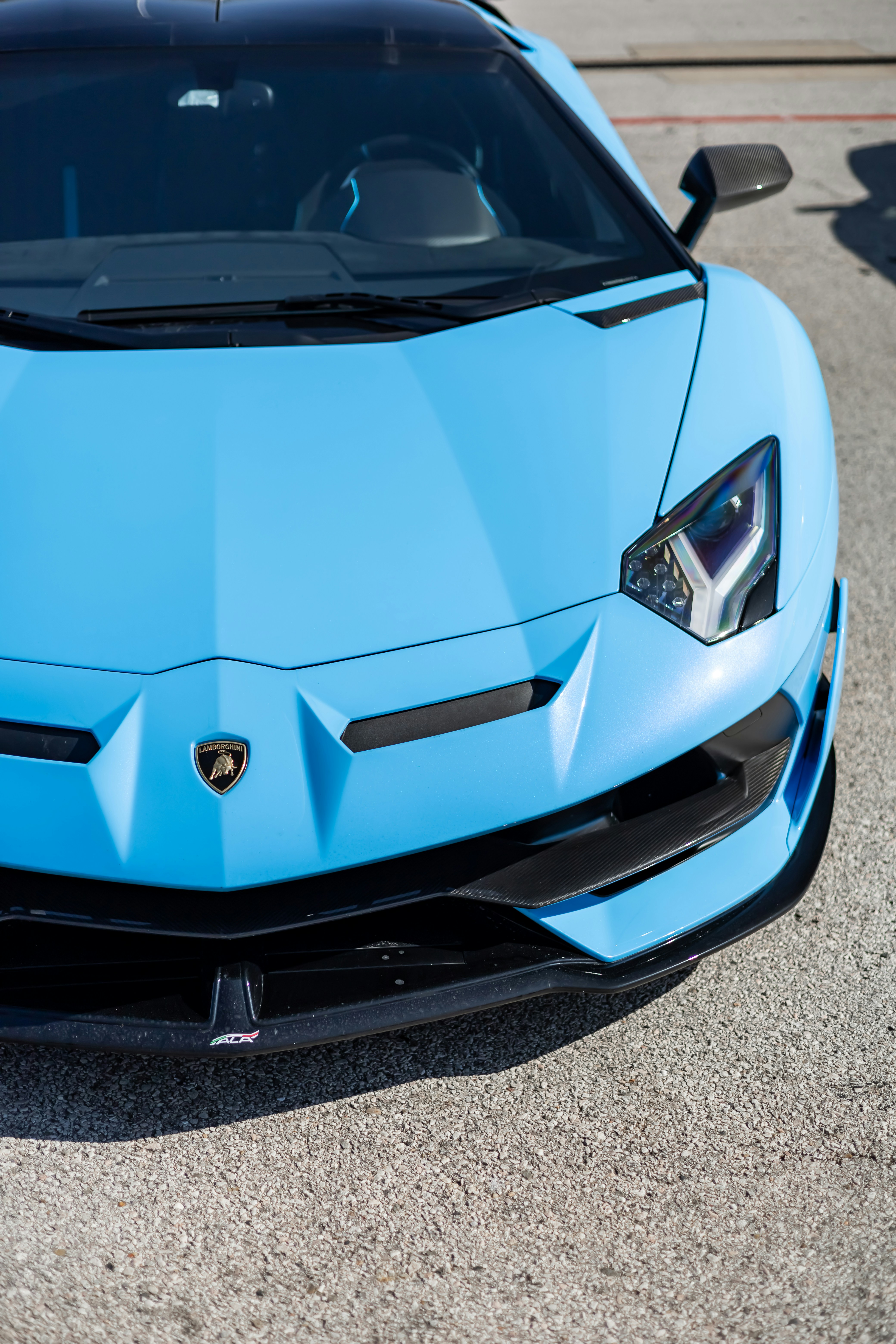 Photo by lonestarexotic