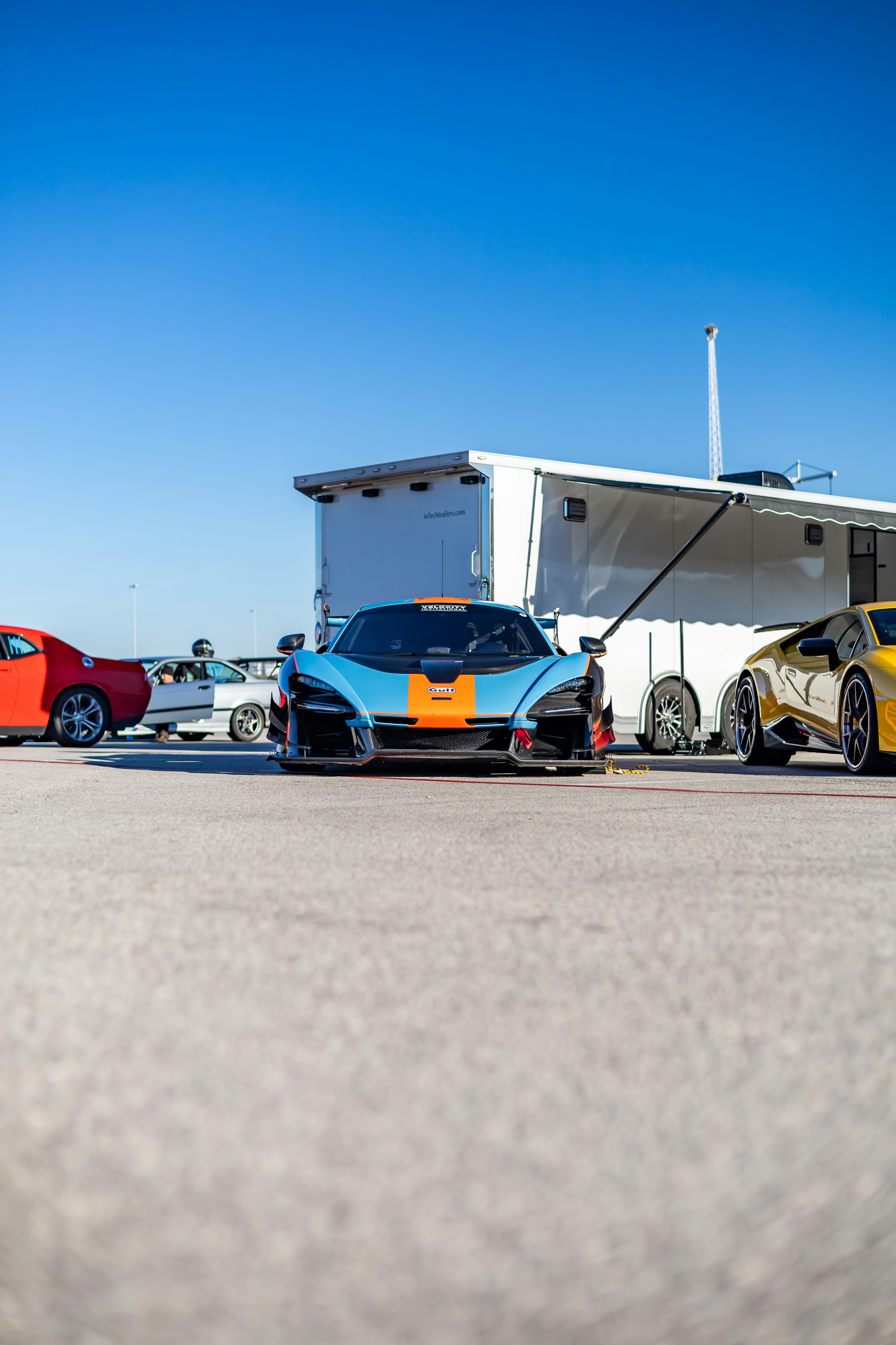 Photo by lonestarexotic