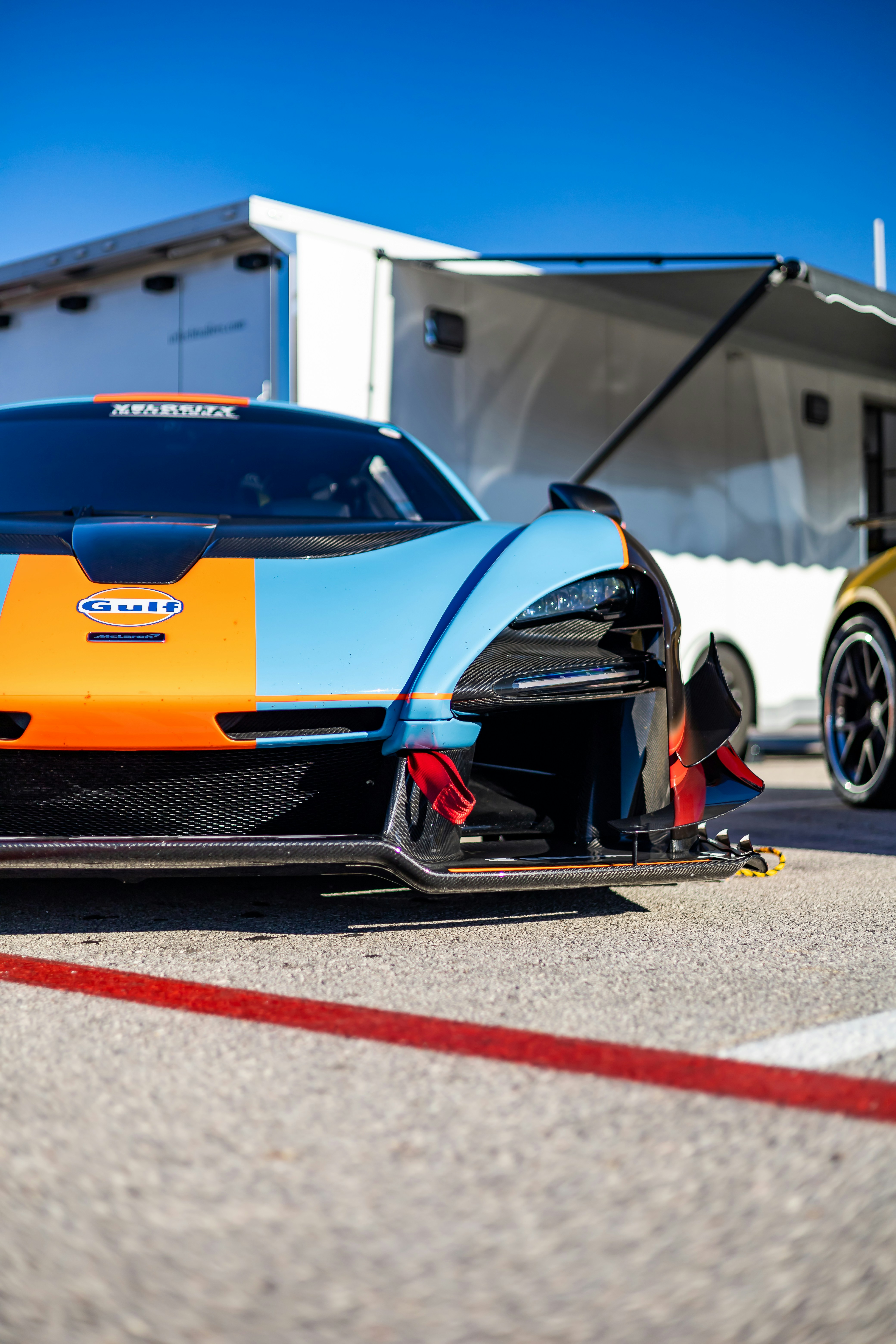 Photo by lonestarexotic