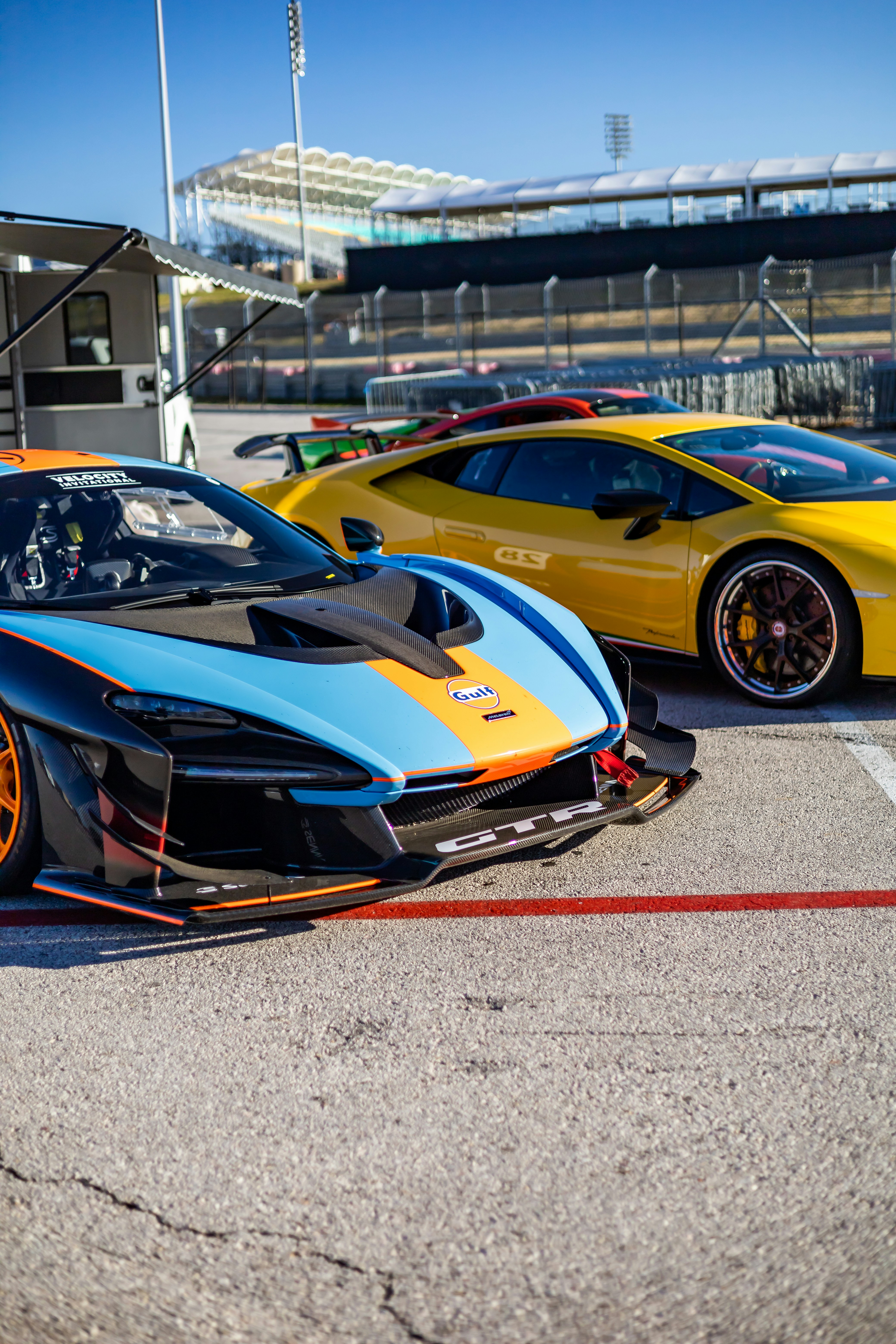 Photo by lonestarexotic