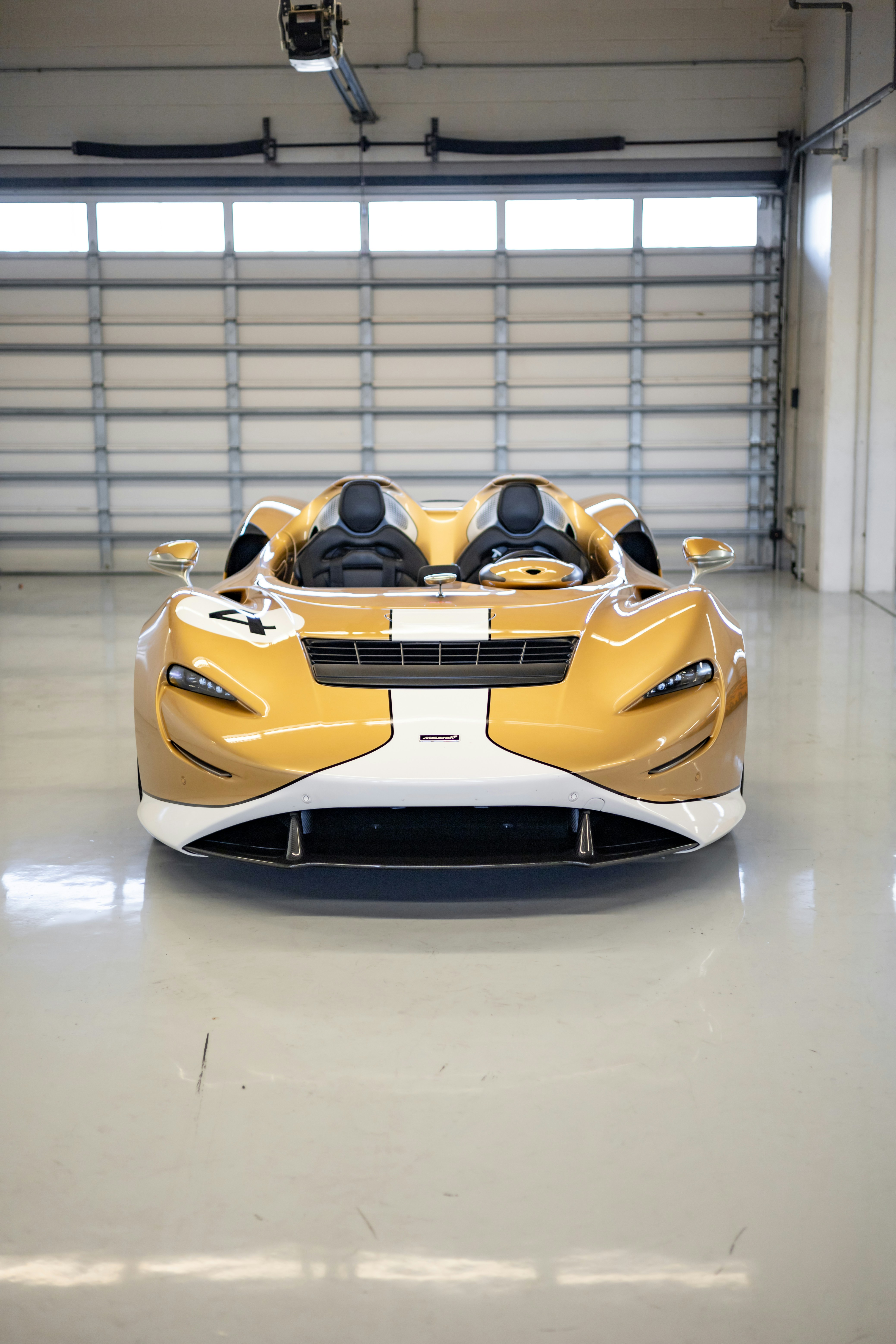 Photo by lonestarexotic