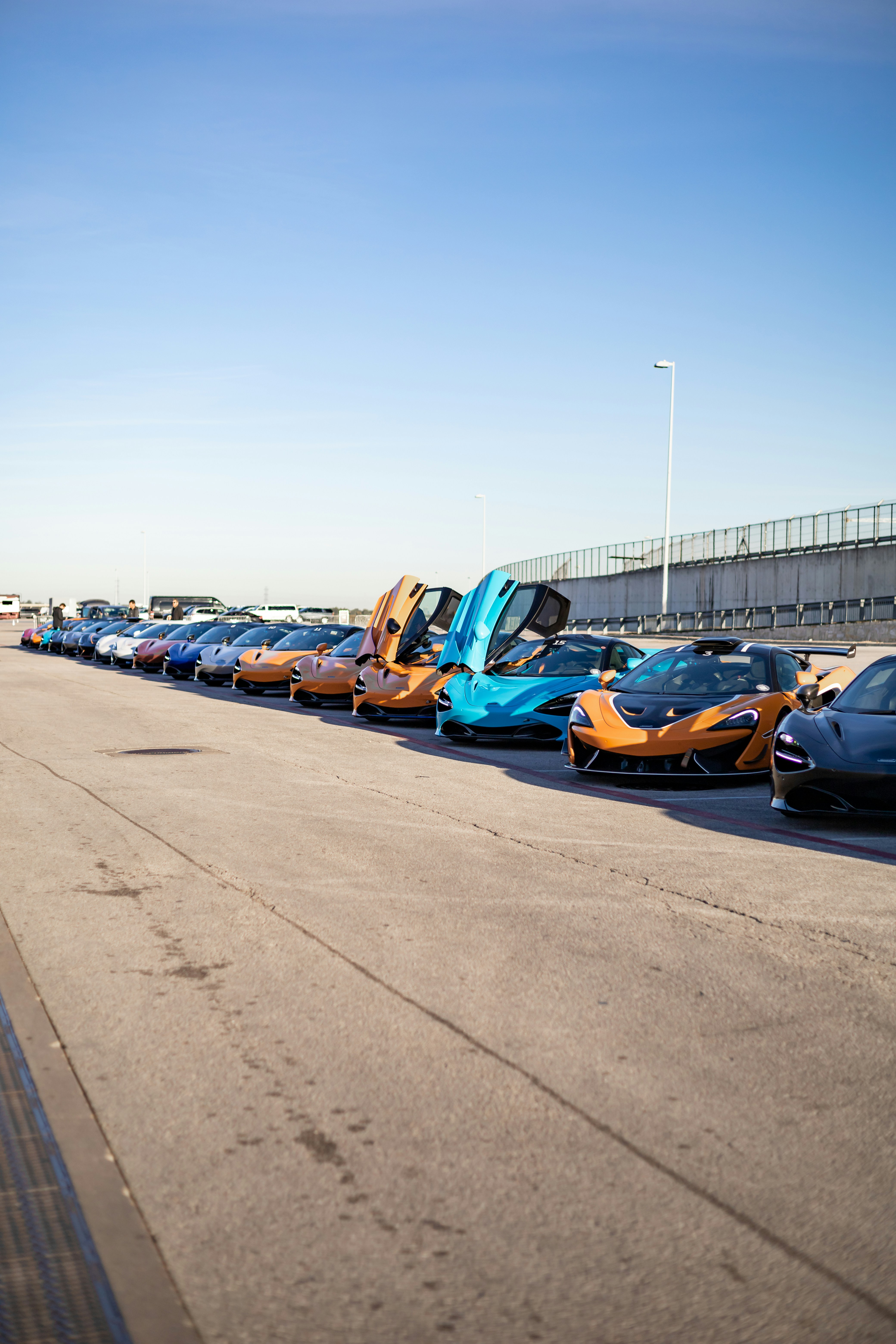 Photo by lonestarexotic