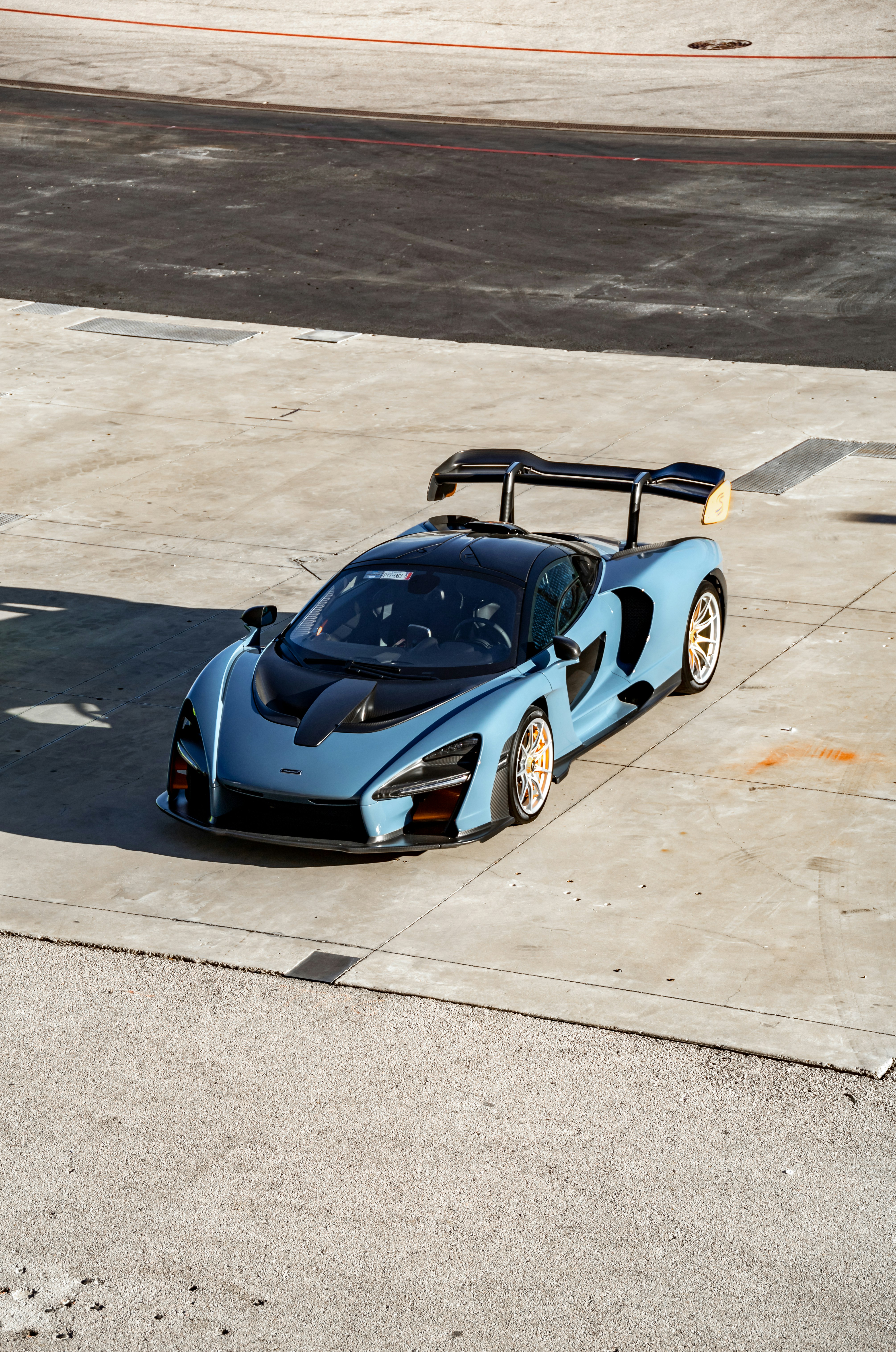 Photo by lonestarexotic