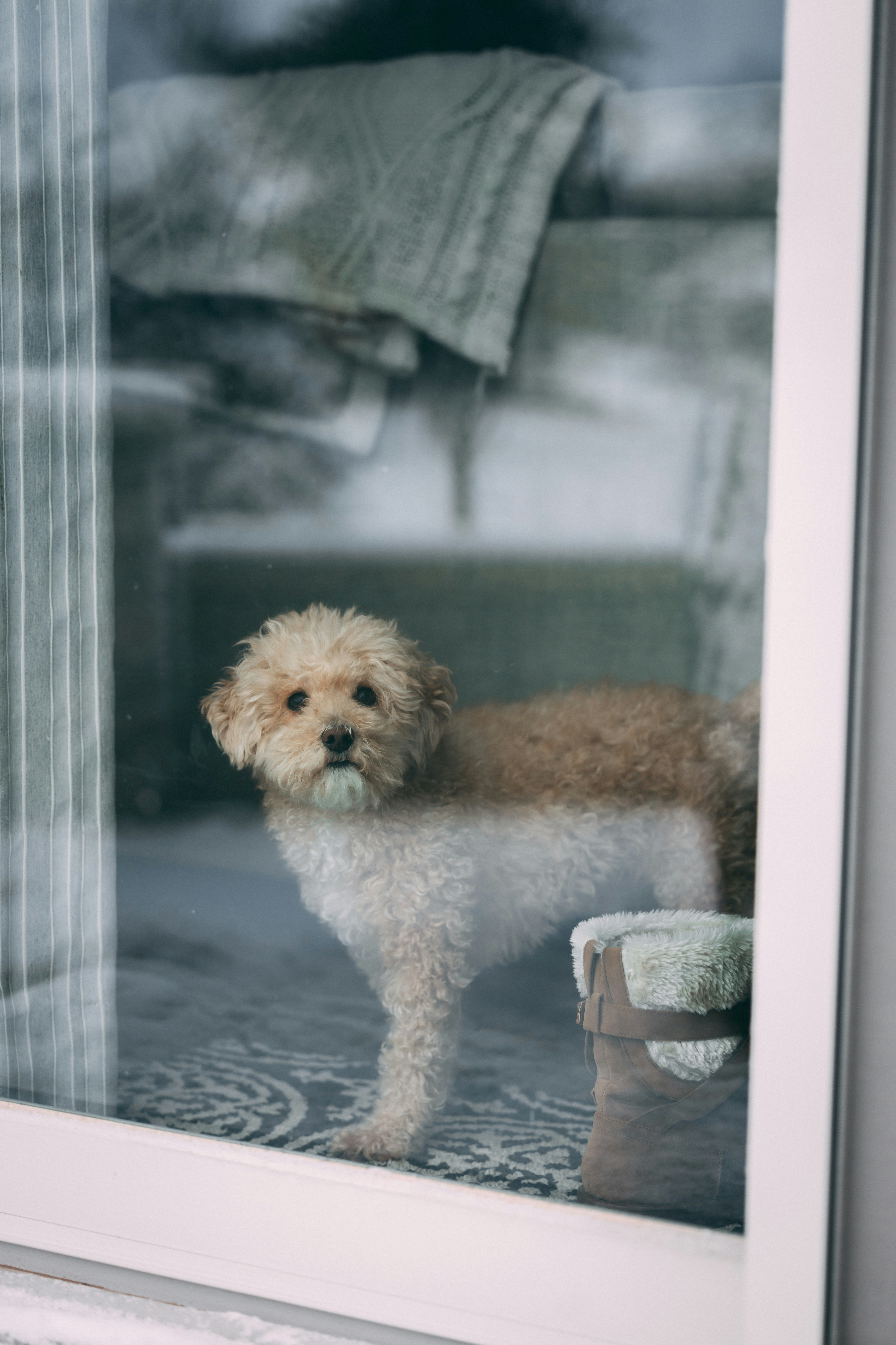 Photo by luismorerat