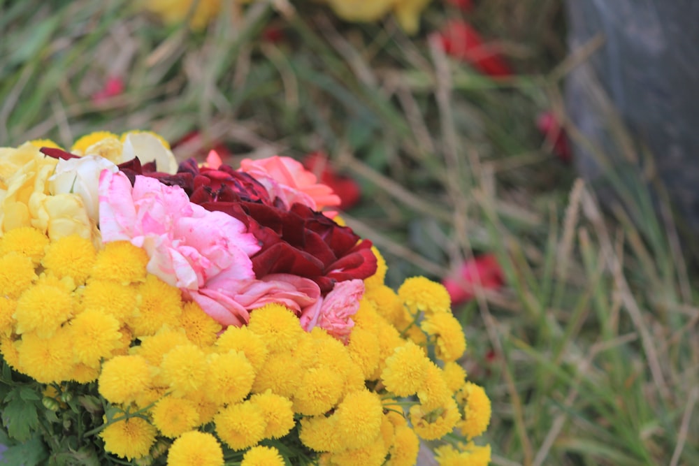 a bunch of flowers that are sitting in the grass