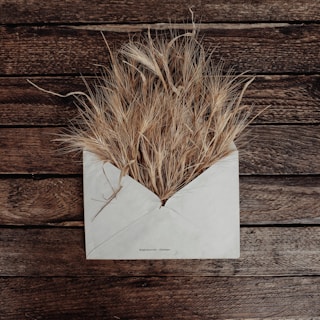 a white envelope with dried grass in it