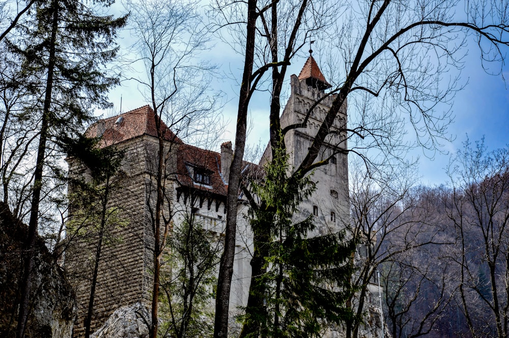 a castle with a clock tower surrounded by trees