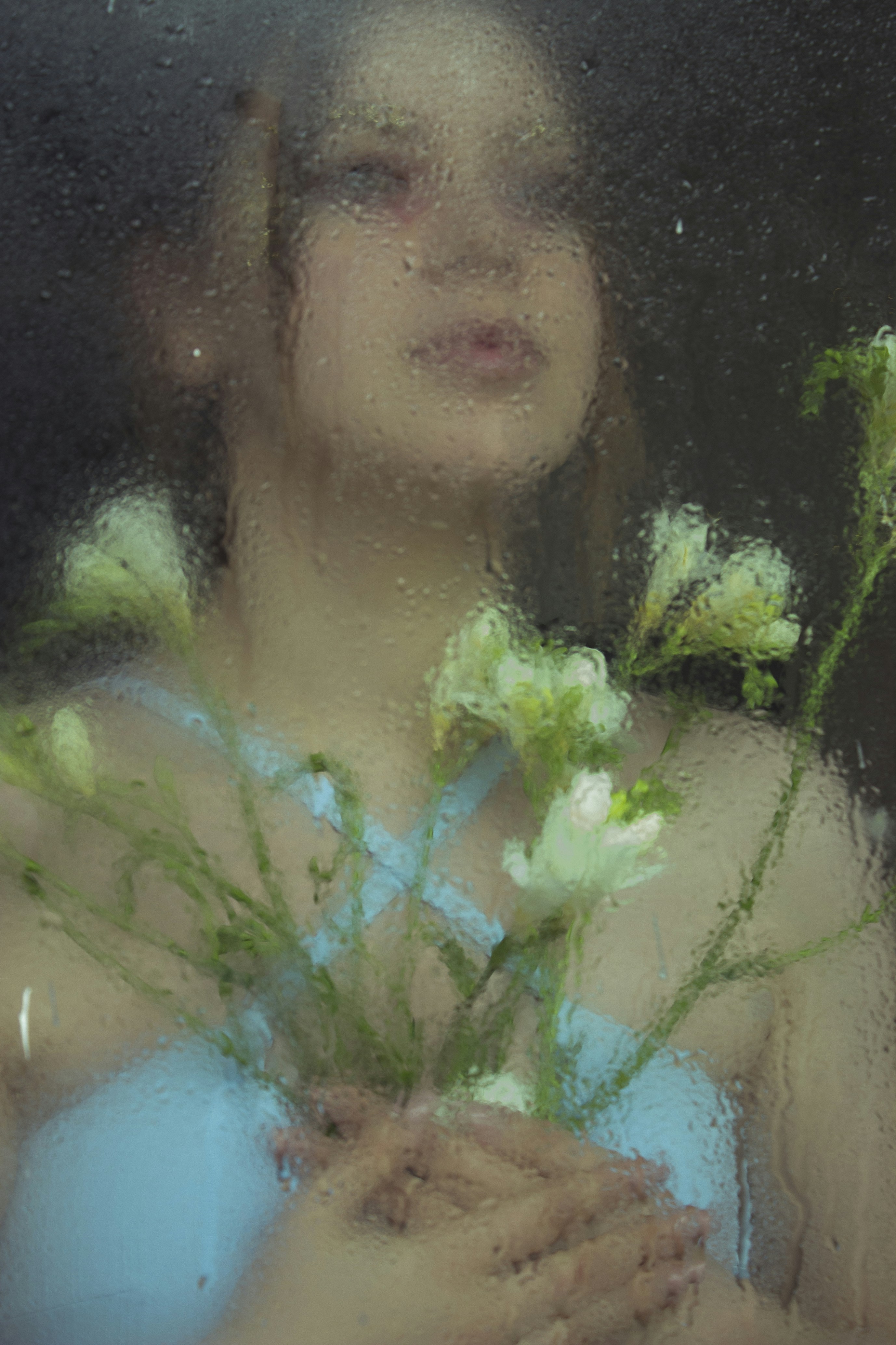 Photo by baranlotfollahi