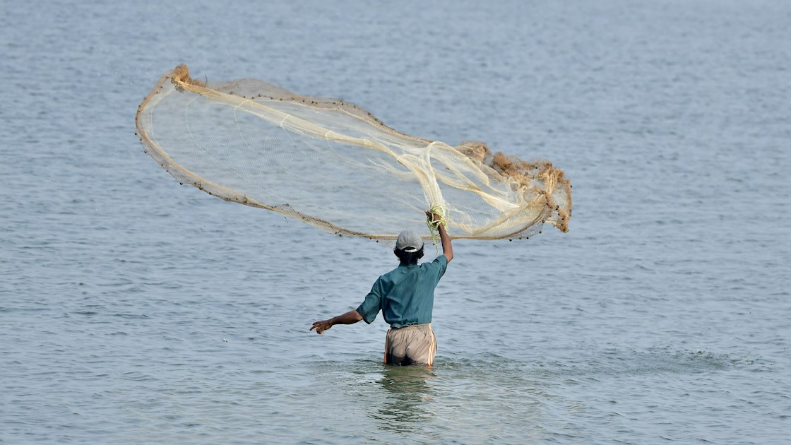 Best Gaffs: Fixed vs. Telescoping (Reach, Safety, and Fish Size ...