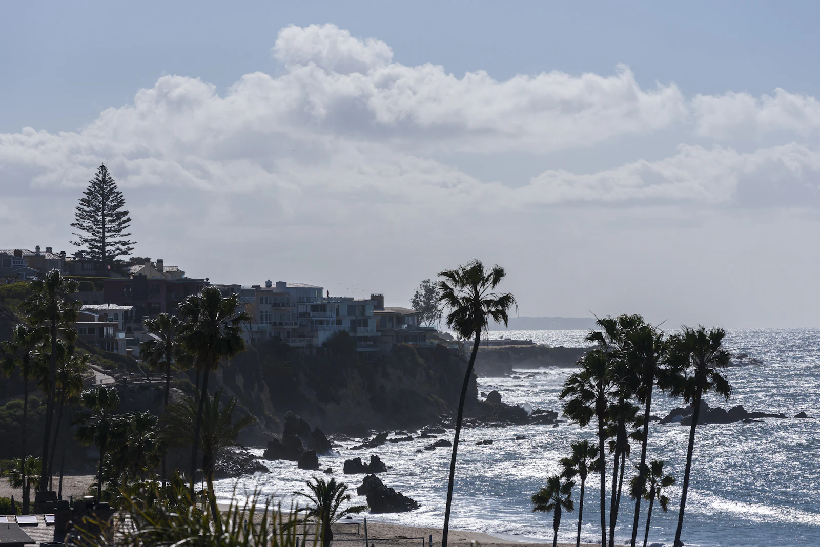 Corona del Mar coastline with palm trees and beach homes
