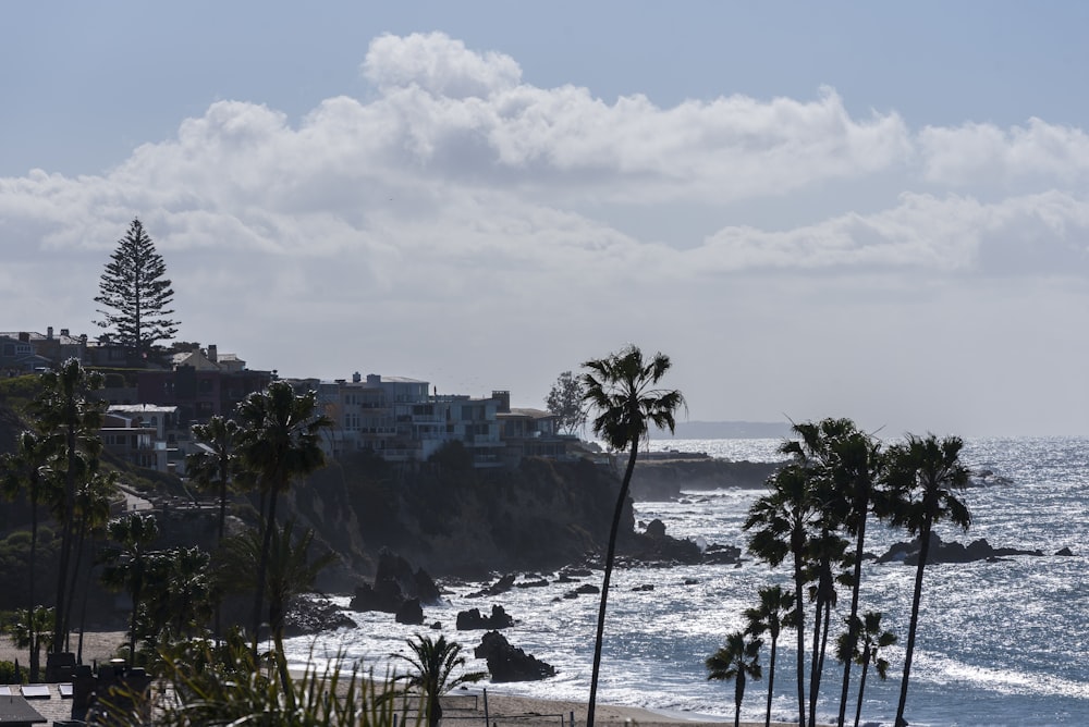 a view of a beach with palm trees and buildings in the background