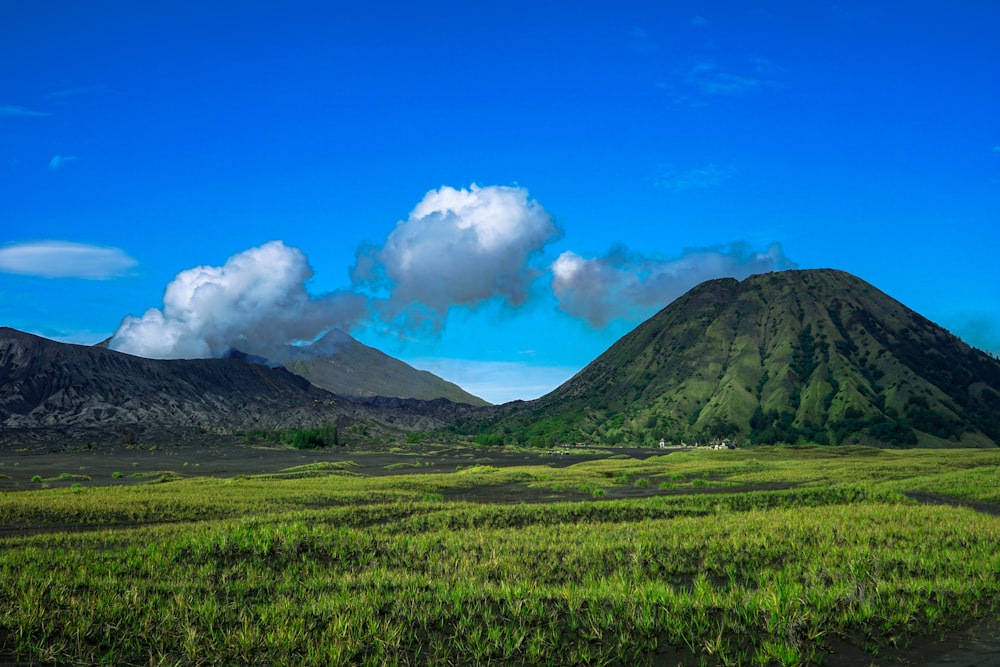 a lush green field with a mountain in the background