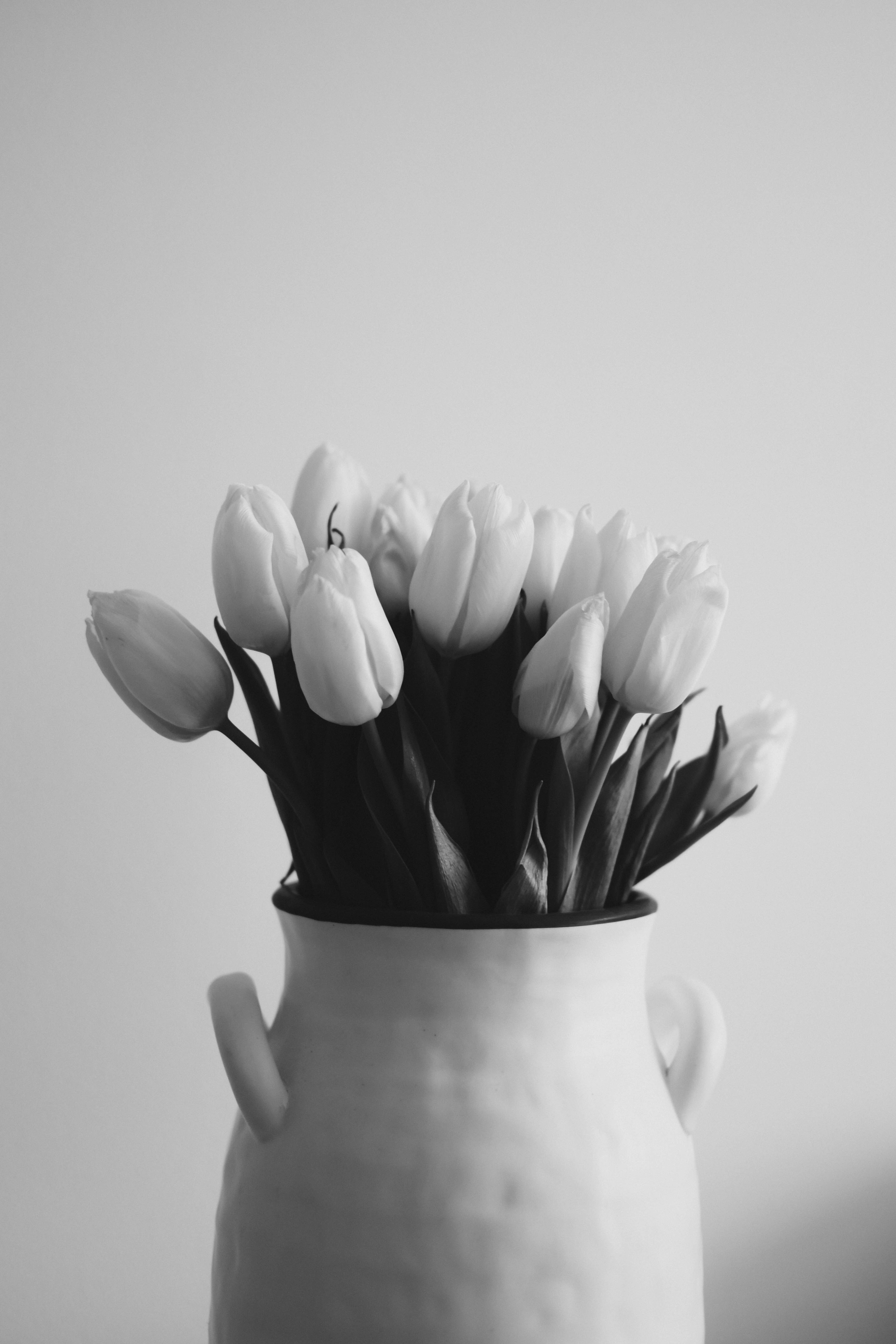 Photo by contentpixie