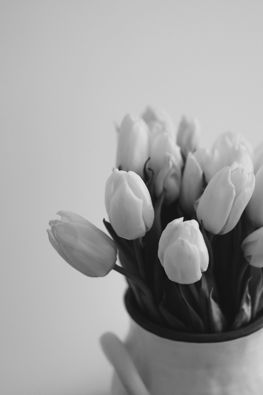 a close up of a flower