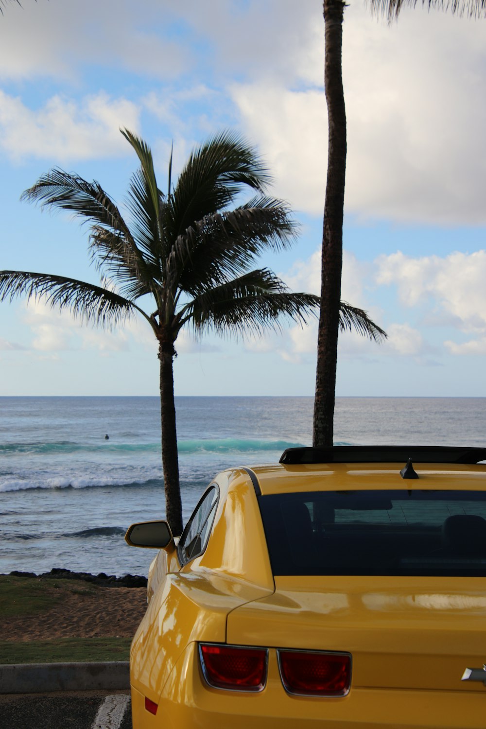 a yellow sports car parked next to a palm tree