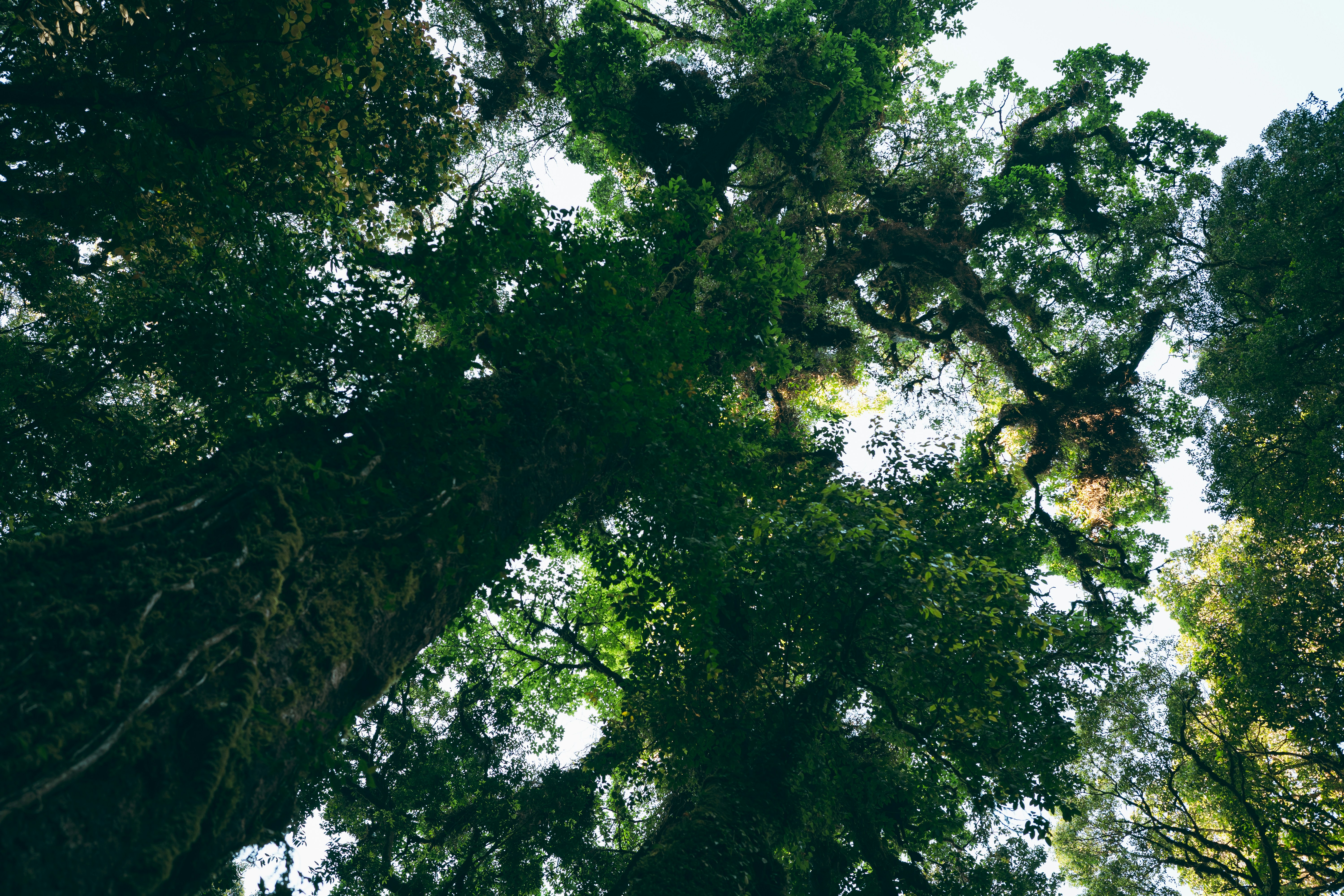 Photo by duckman1992