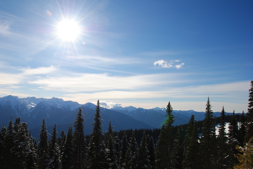 the sun is shining over the mountains and trees