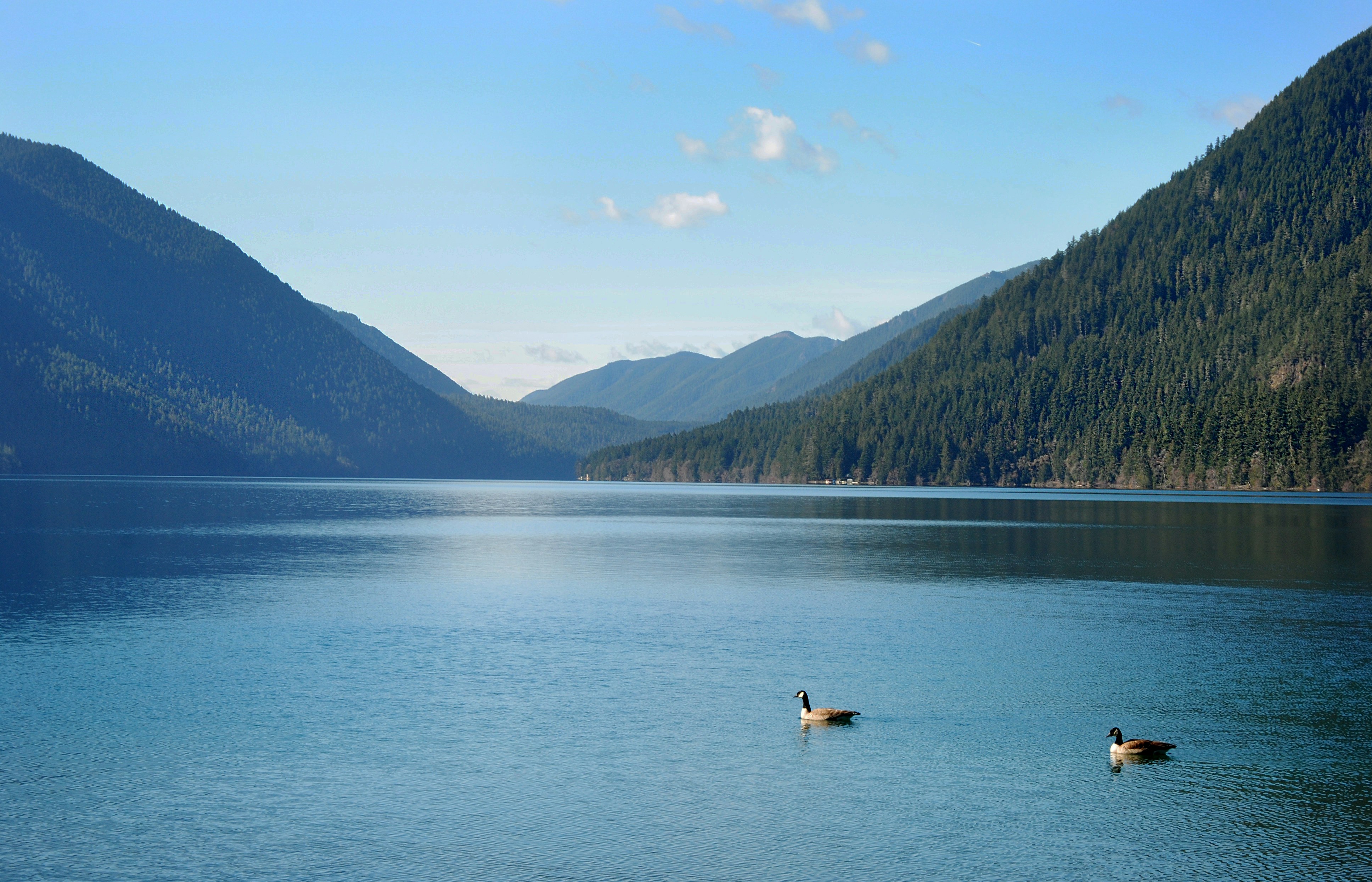 Photo by sixthcitysarah