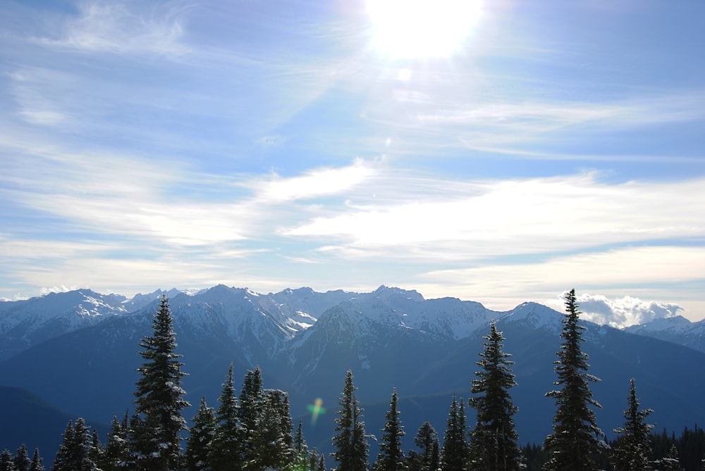 a view of a mountain range with trees in the foreground