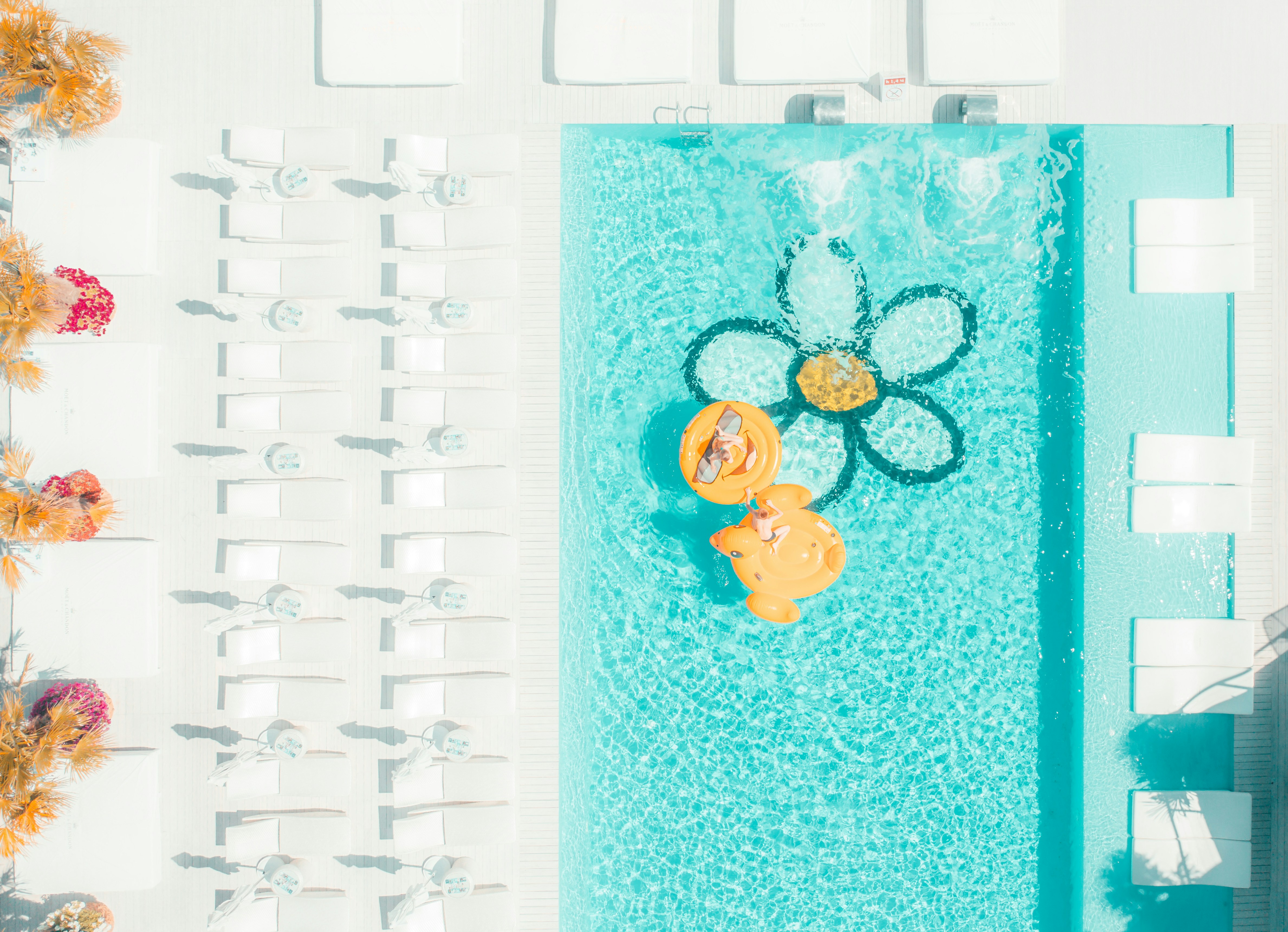 10 Reasons a Payday Loan Might Turn You Down | Oak Park Financial