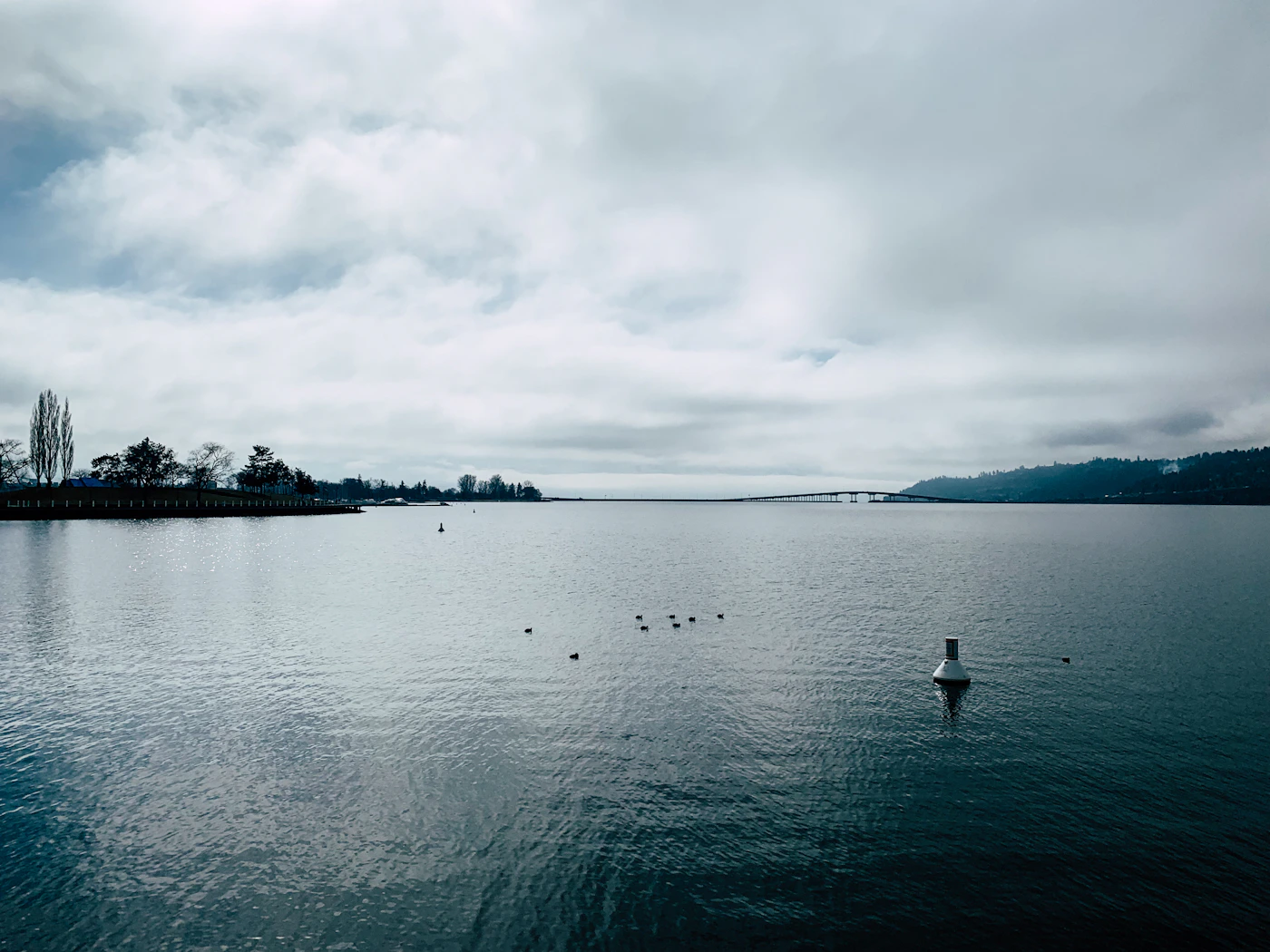 Person on a paddleboard gliding across the calm blue Okanagan Lake in Kelowna