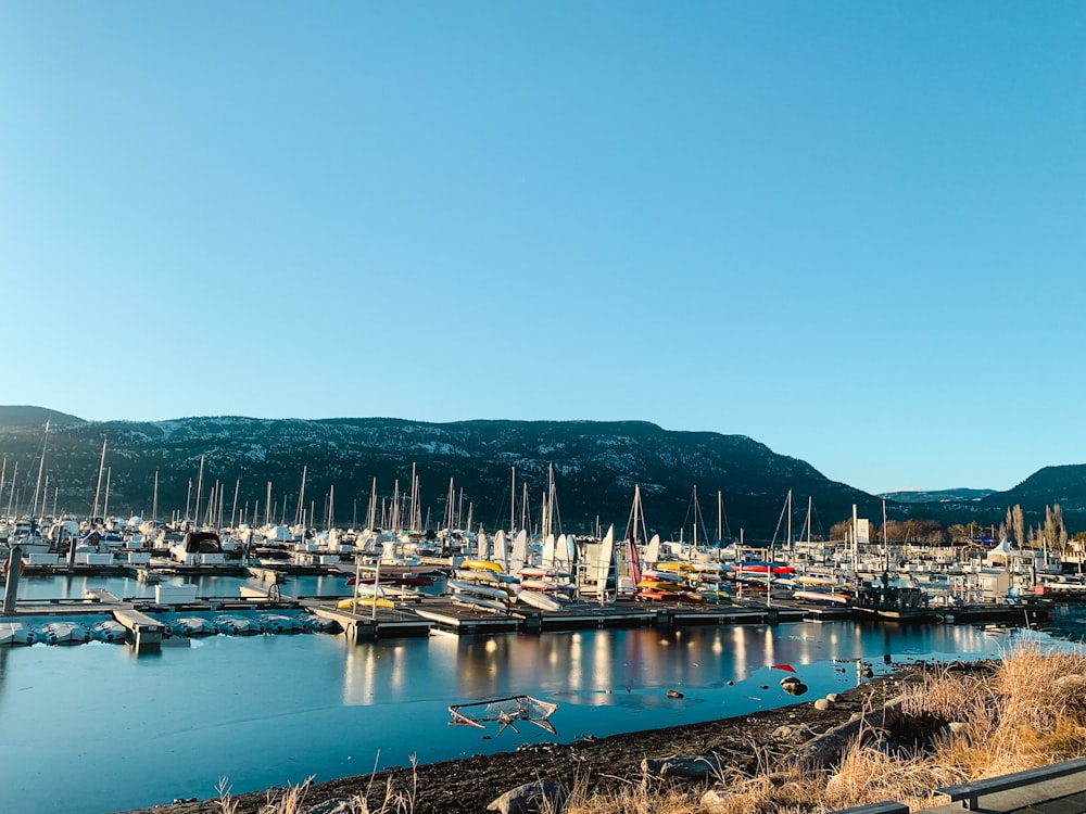 Un port rempli de nombreux bateaux à côté d’une montagne