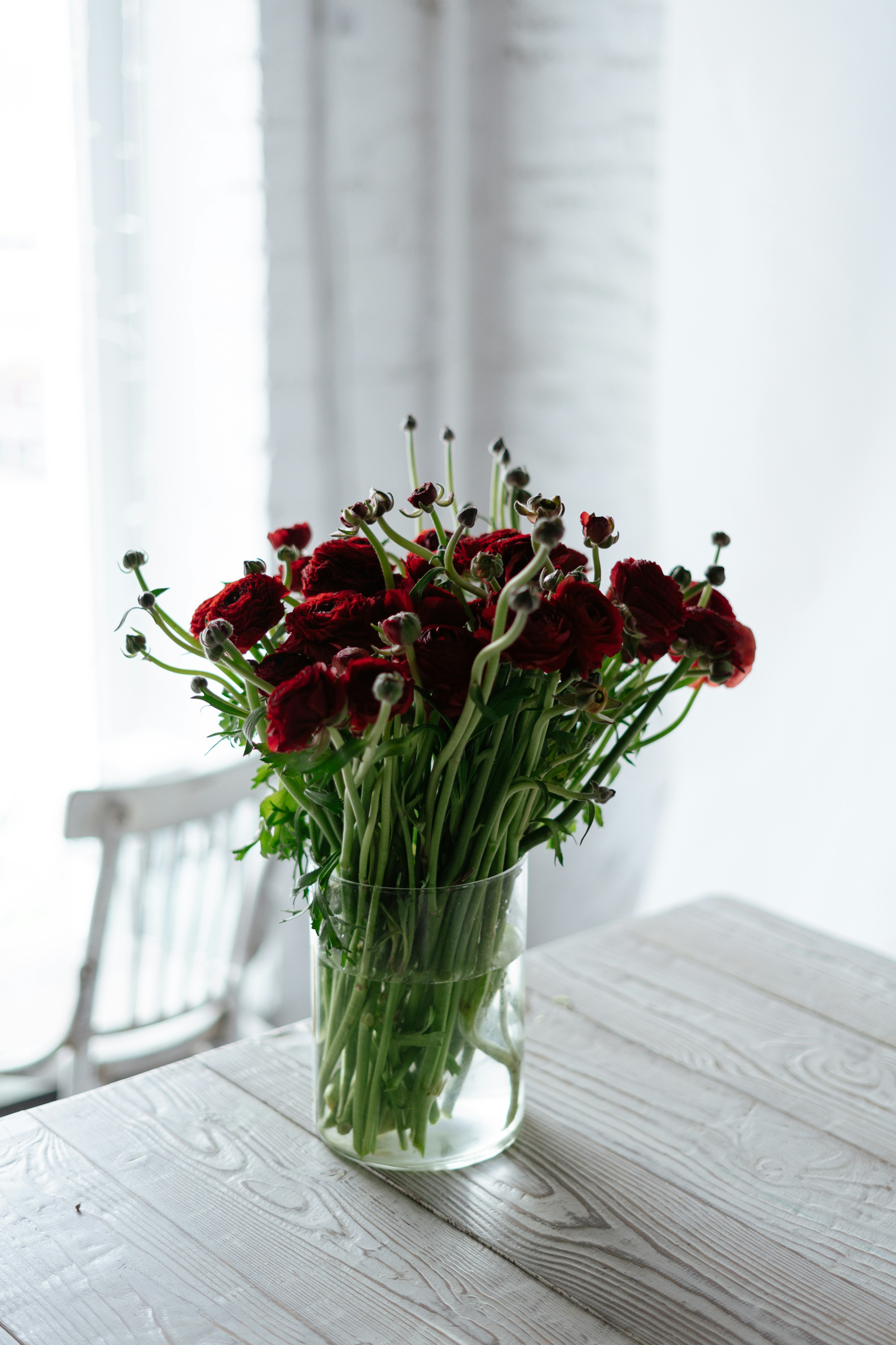 Photo by albina___white