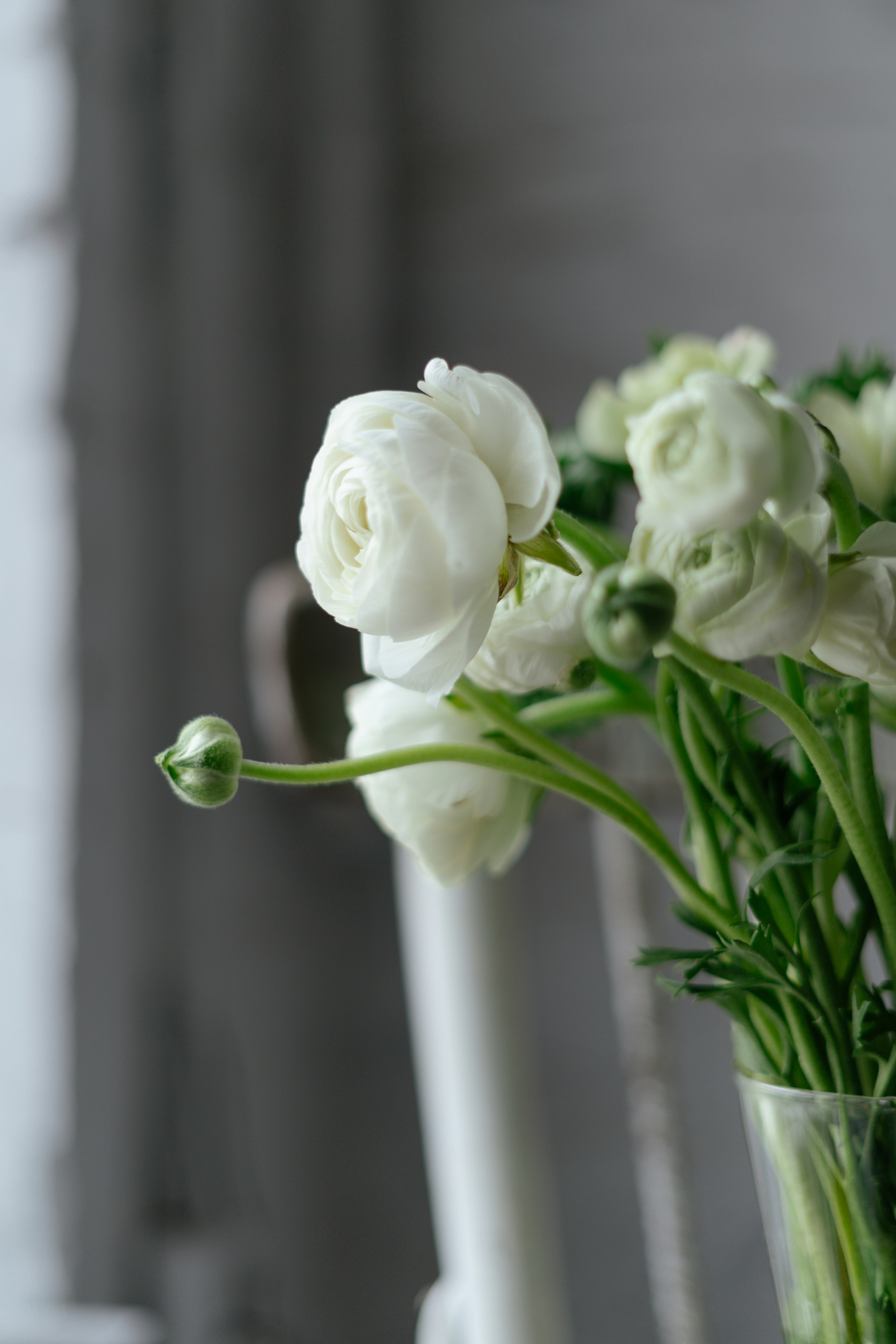 Photo by albina___white