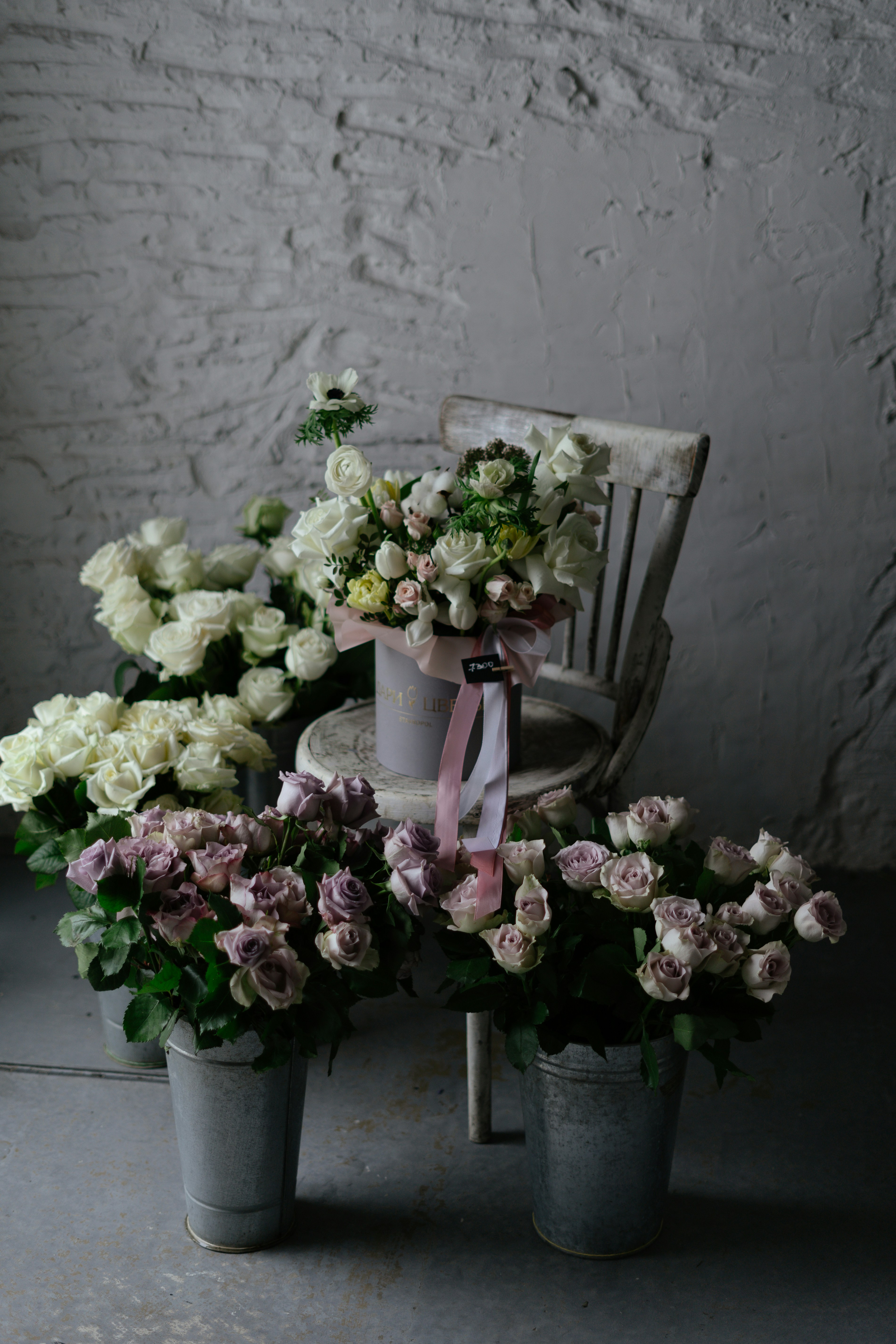 Photo by albina___white