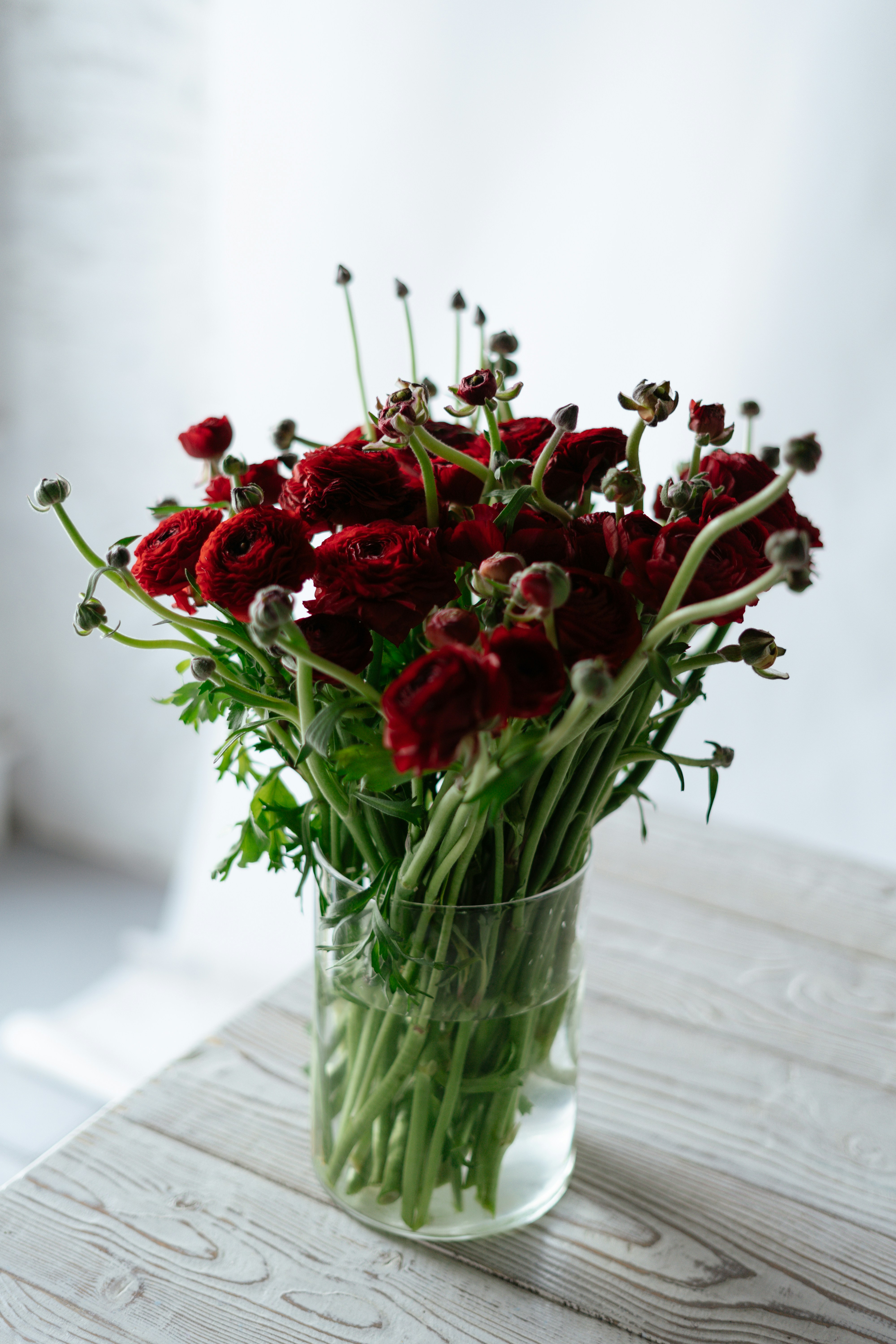 Photo by albina___white