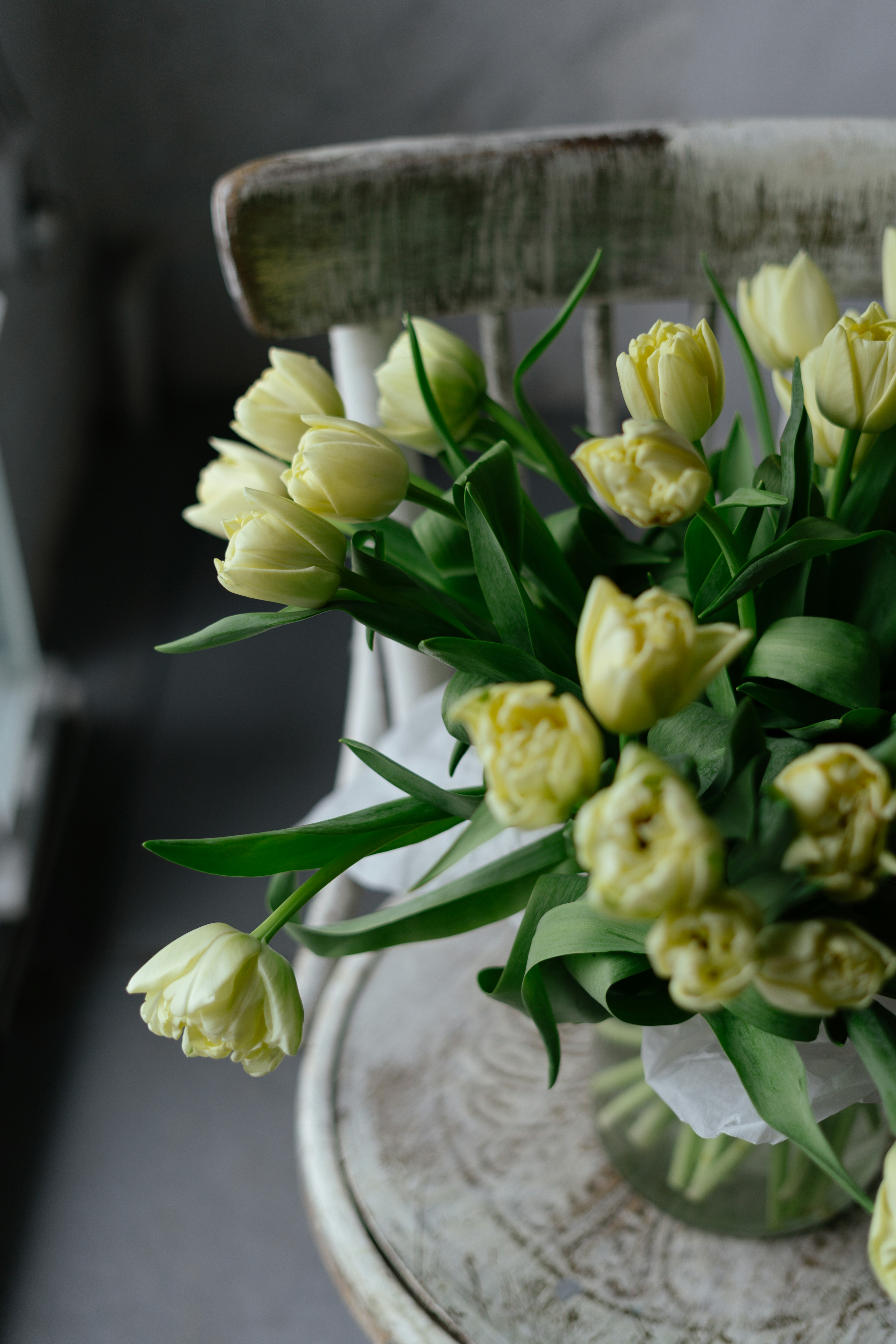 Photo by albina___white