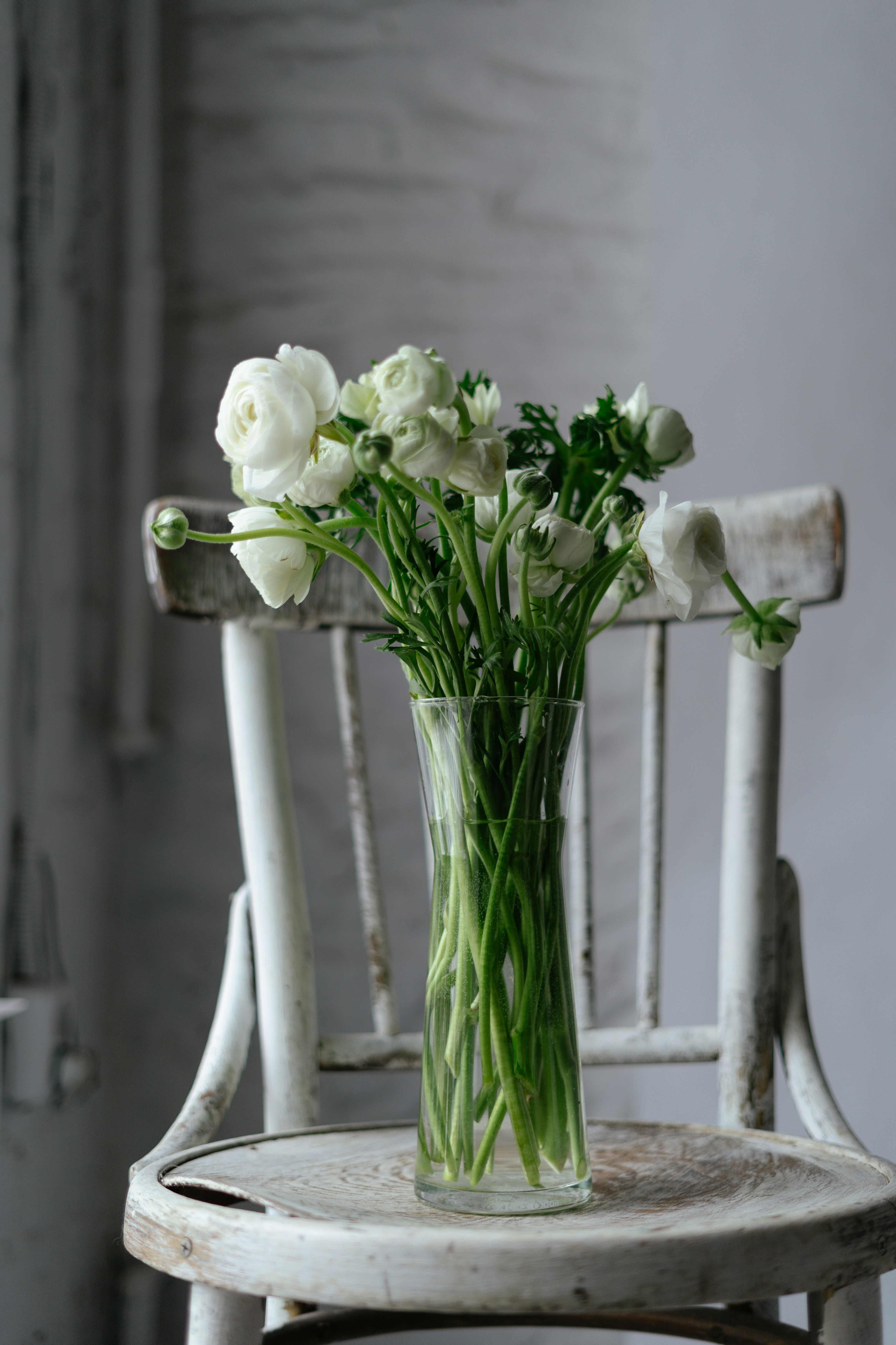 Photo by albina___white