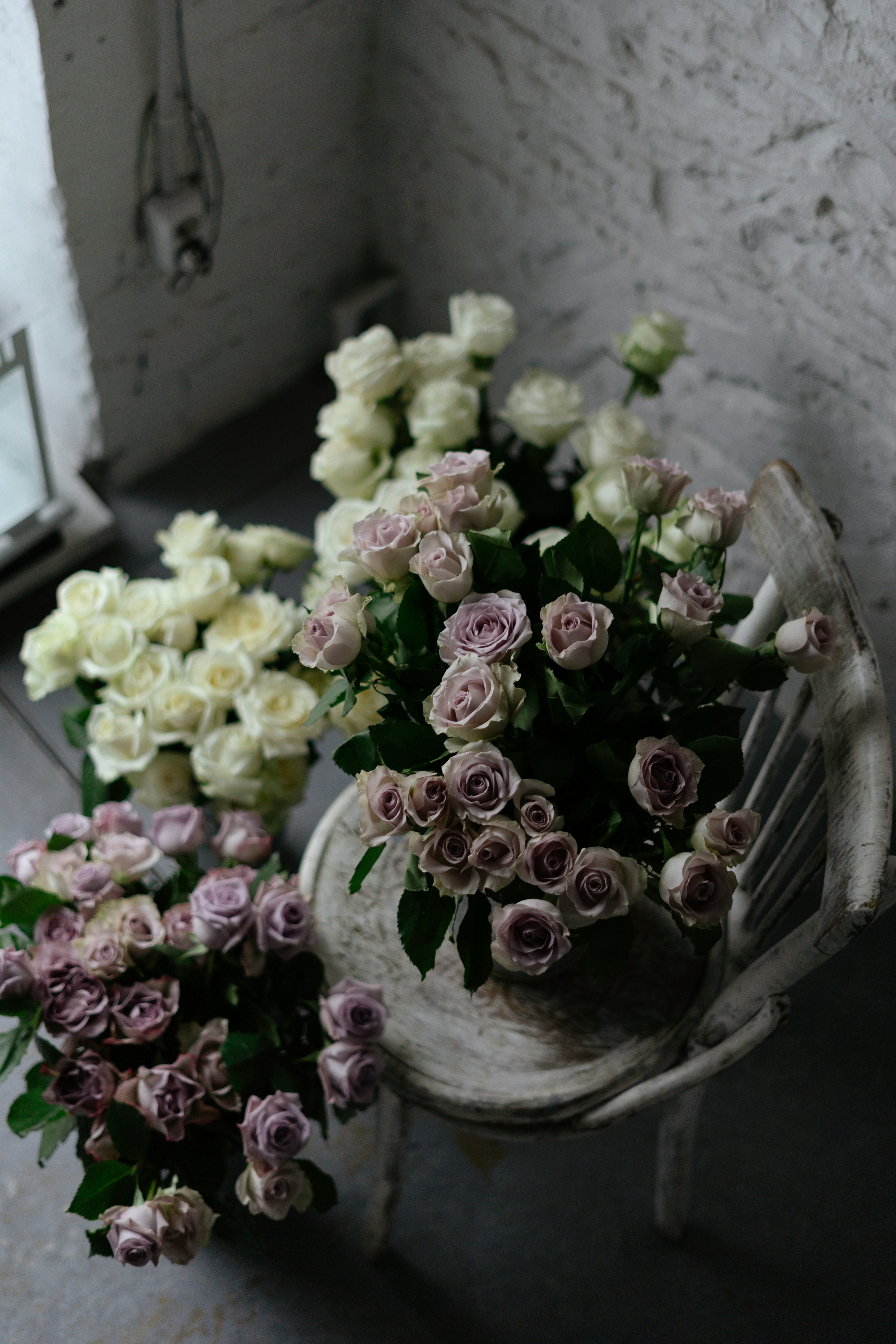 Photo by albina___white